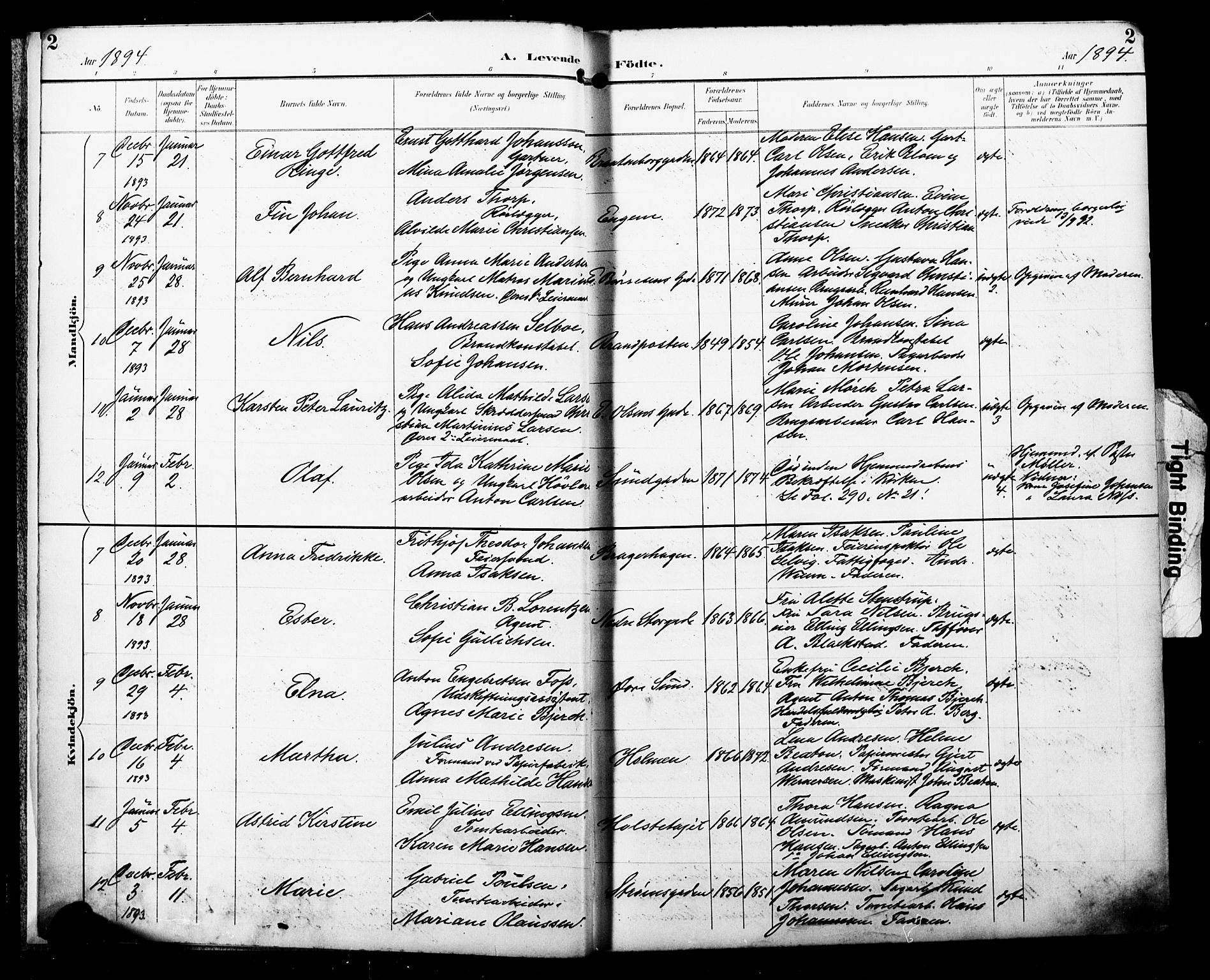 Bragernes kirkebøker, SAKO/A-6/F/Fb/L0008: Parish register (official) no. II 8, 1894-1902, p. 2