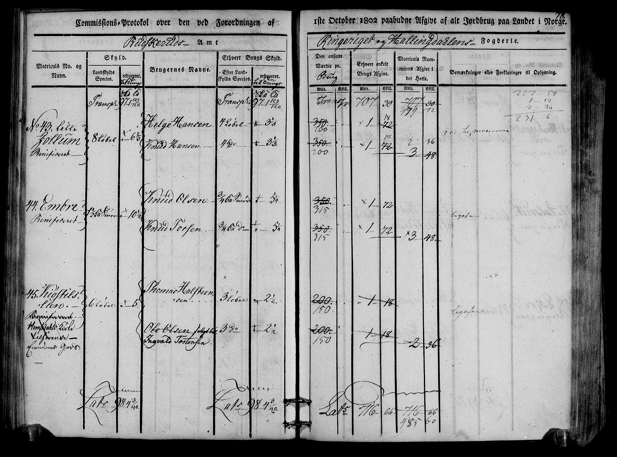 Rentekammeret inntil 1814, Realistisk ordnet avdeling, AV/RA-EA-4070/N/Ne/Nea/L0047: Ringerike og Hallingdal fogderi. Kommisjonsprotokoll for Nes prestegjeld, 1803, p. 81