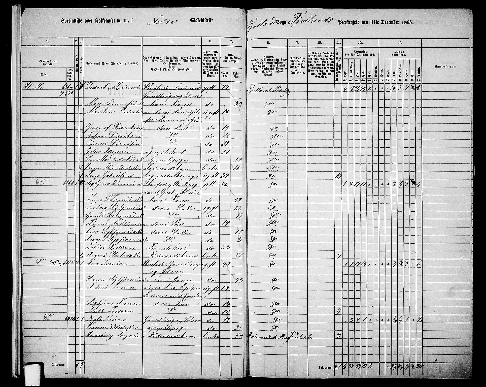 RA, 1865 census for Fjotland, 1865, p. 11