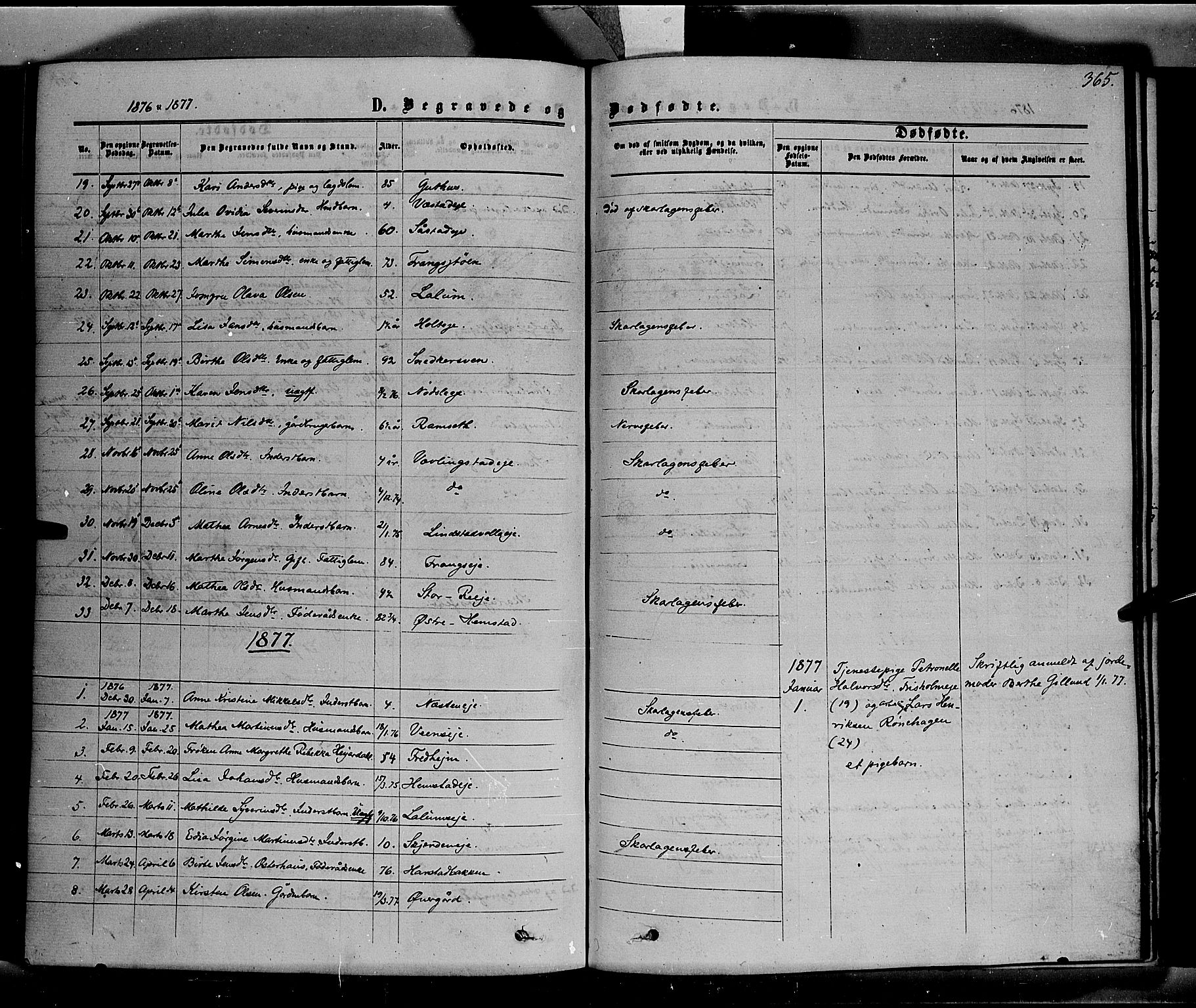 Stange prestekontor, SAH/PREST-002/K/L0013: Parish register (official) no. 13, 1862-1879, p. 365