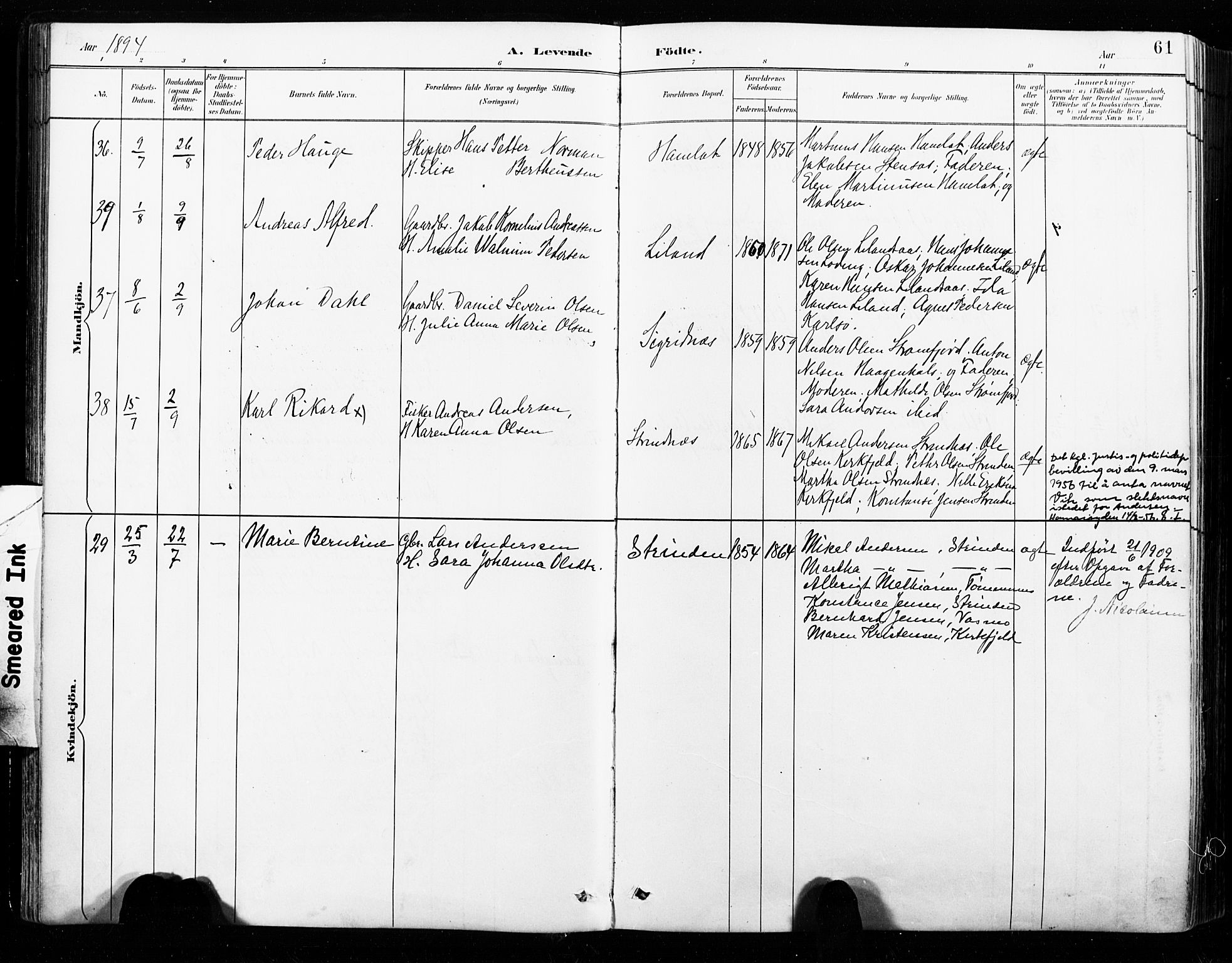 Ministerialprotokoller, klokkerbøker og fødselsregistre - Nordland, AV/SAT-A-1459/859/L0847: Parish register (official) no. 859A07, 1890-1899, p. 61