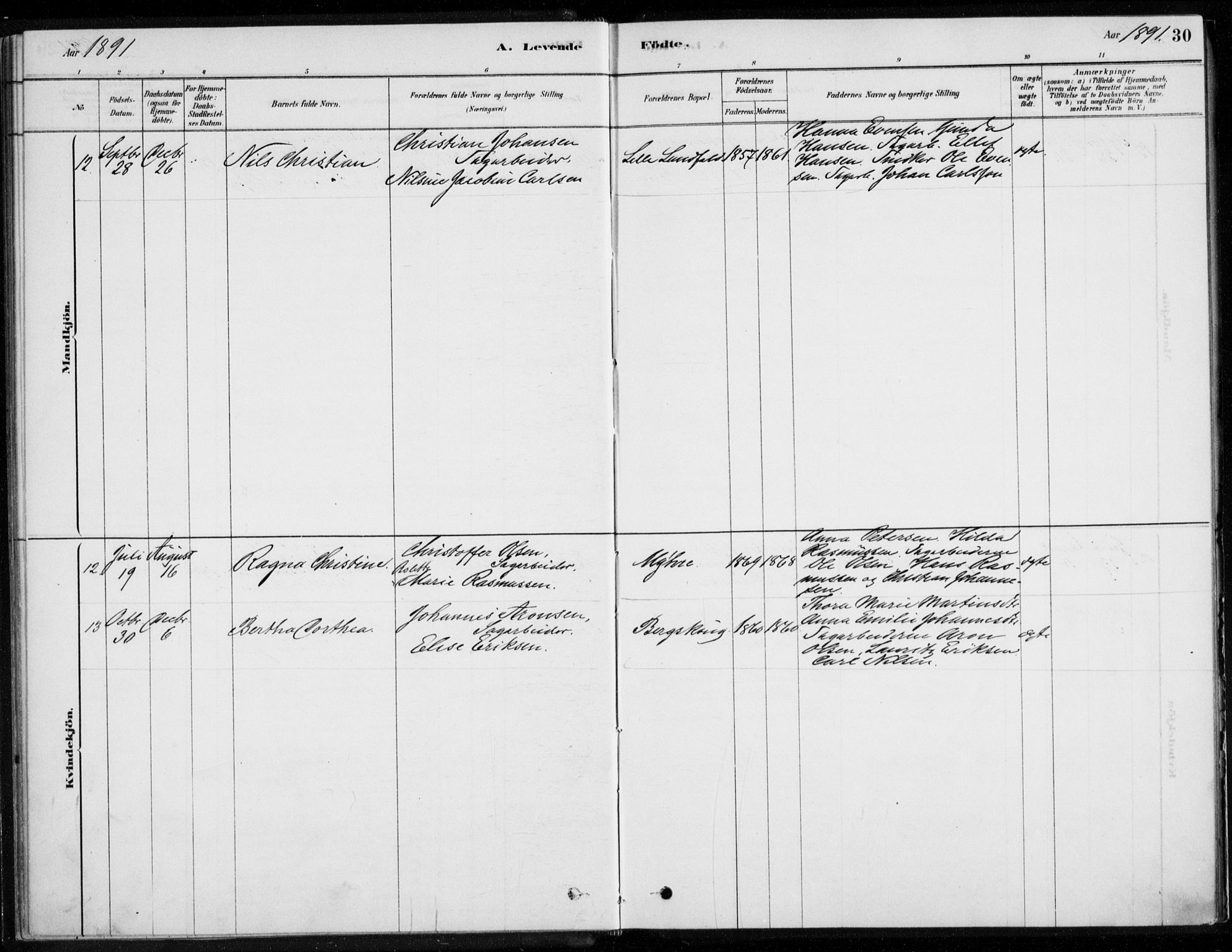 Åssiden kirkebøker, AV/SAKO-A-251/F/Fa/L0001: Parish register (official) no. 1, 1878-1904, p. 30