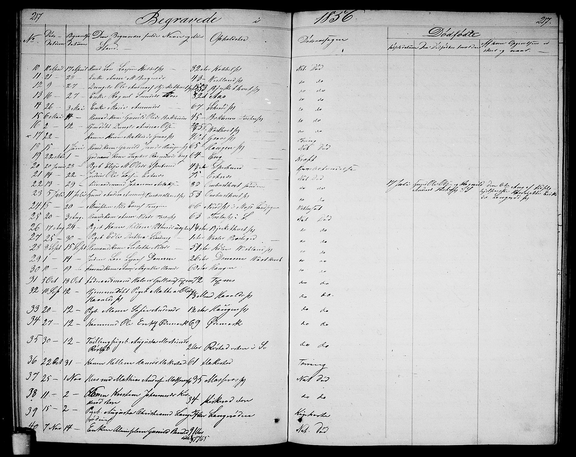 Våler prestekontor Kirkebøker, AV/SAO-A-11083/G/Ga/L0002: Parish register (copy) no. I 2, 1839-1860, p. 217