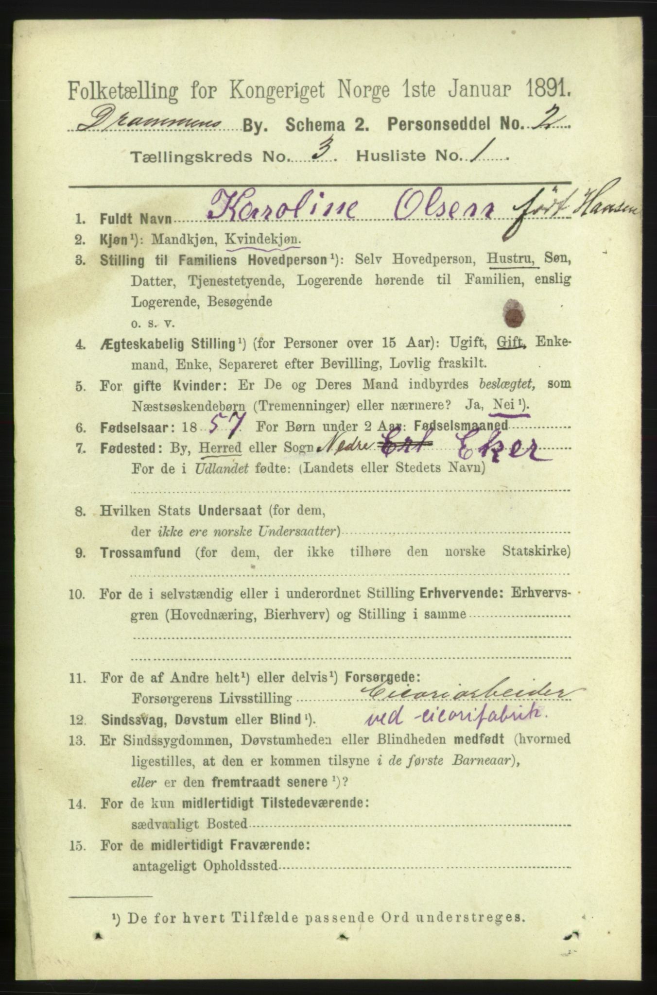 RA, 1891 census for 0602 Drammen, 1891, p. 4907