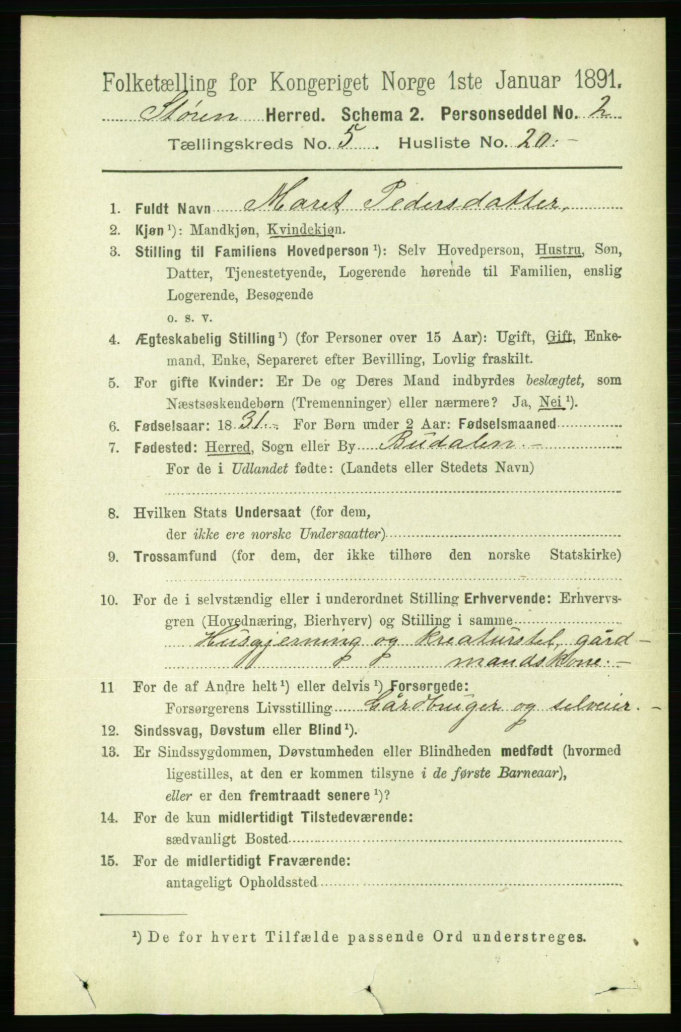 RA, 1891 census for 1648 Støren, 1891, p. 2053