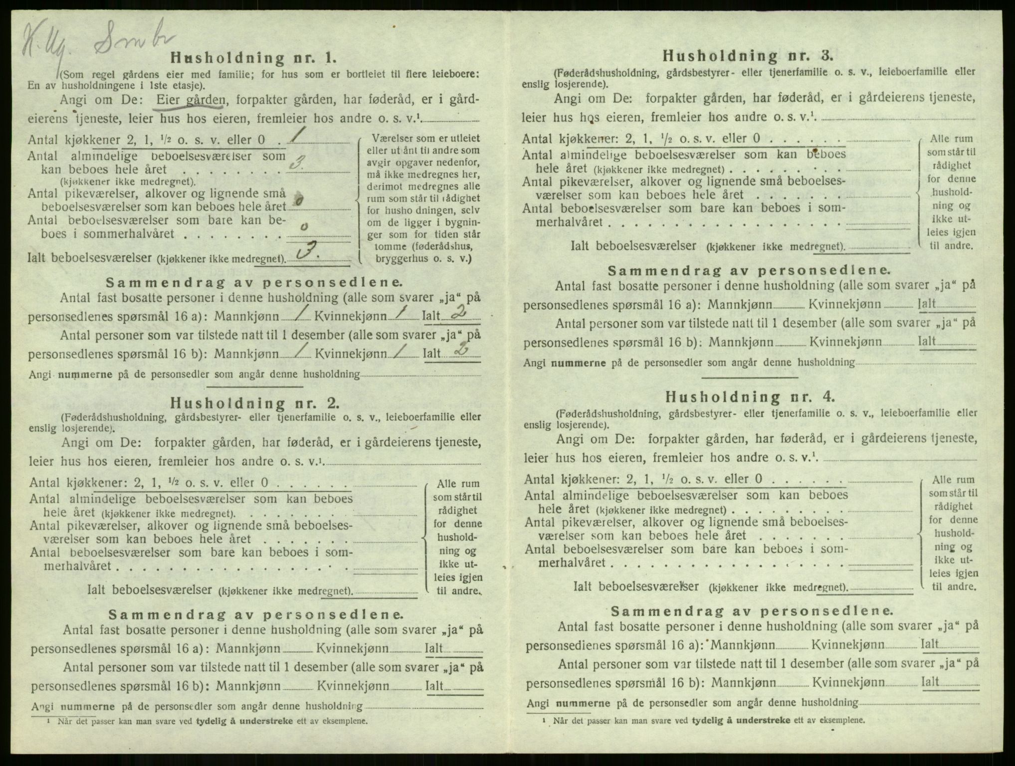 SAKO, 1920 census for Borre, 1920, p. 176