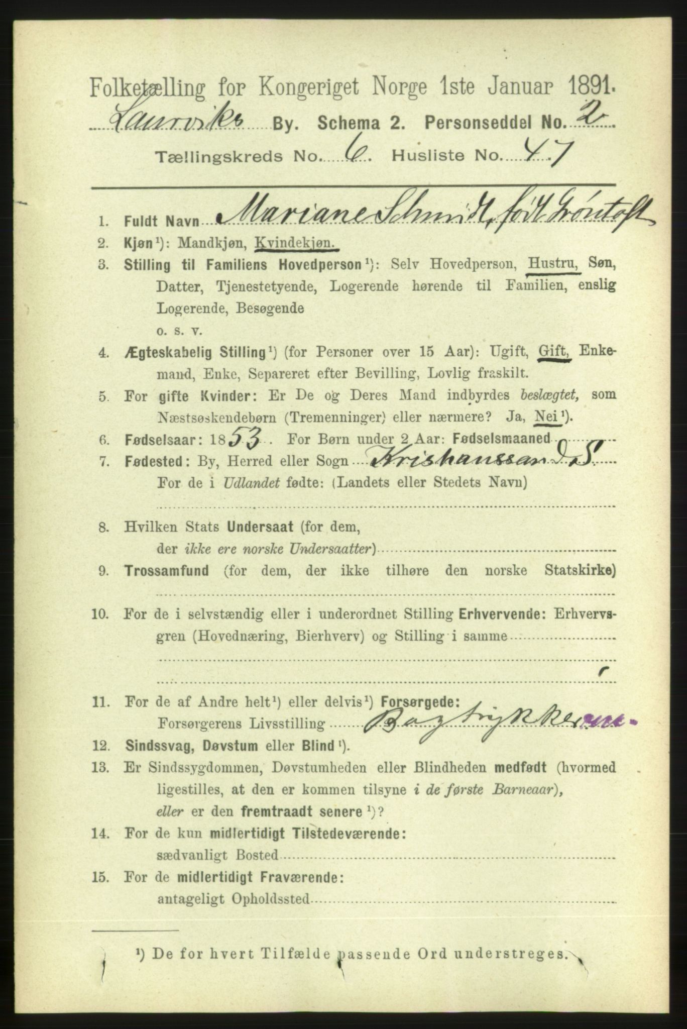 RA, 1891 census for 0707 Larvik, 1891, p. 7133