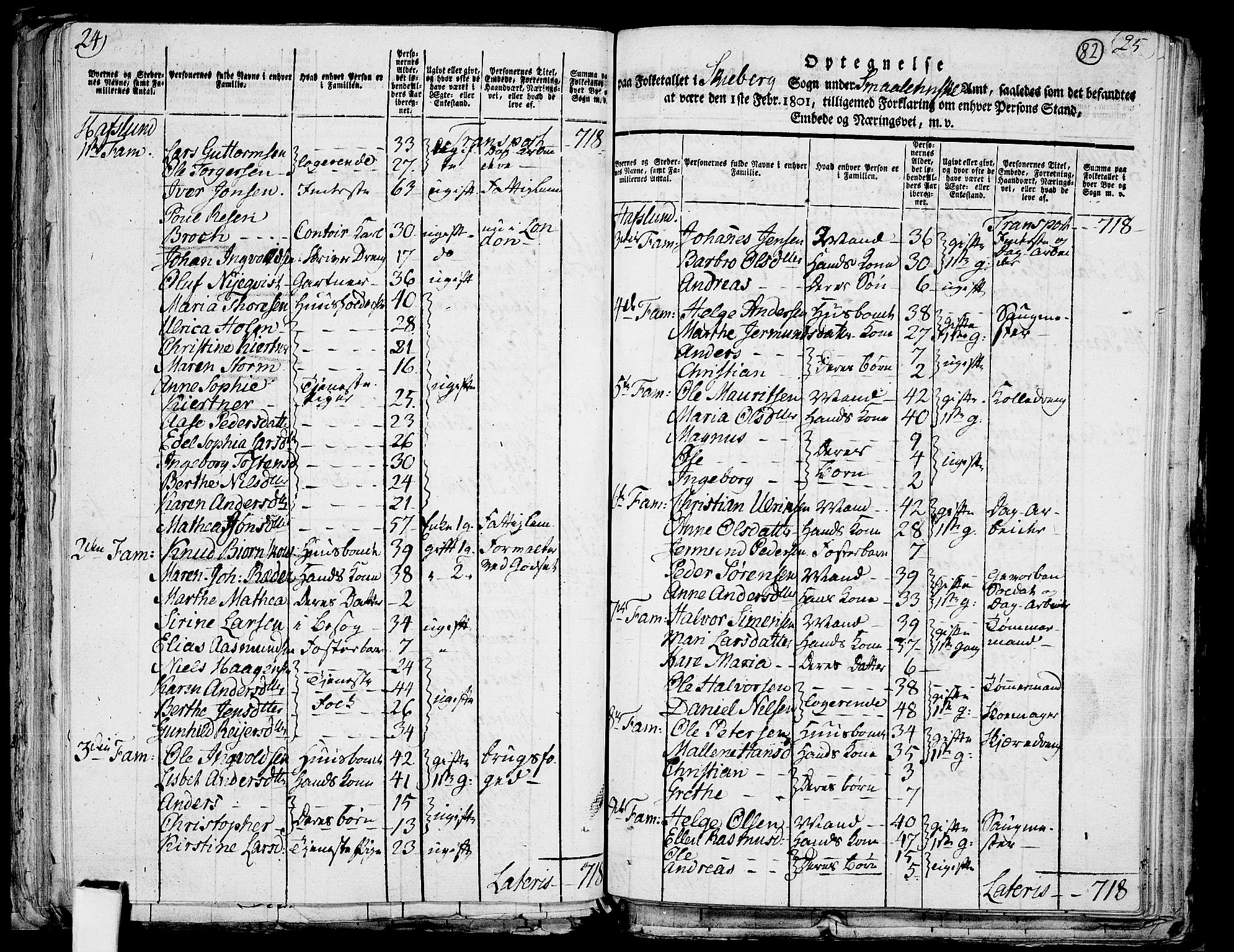 RA, 1801 census for 0115P Skjeberg, 1801, p. 81b-82a