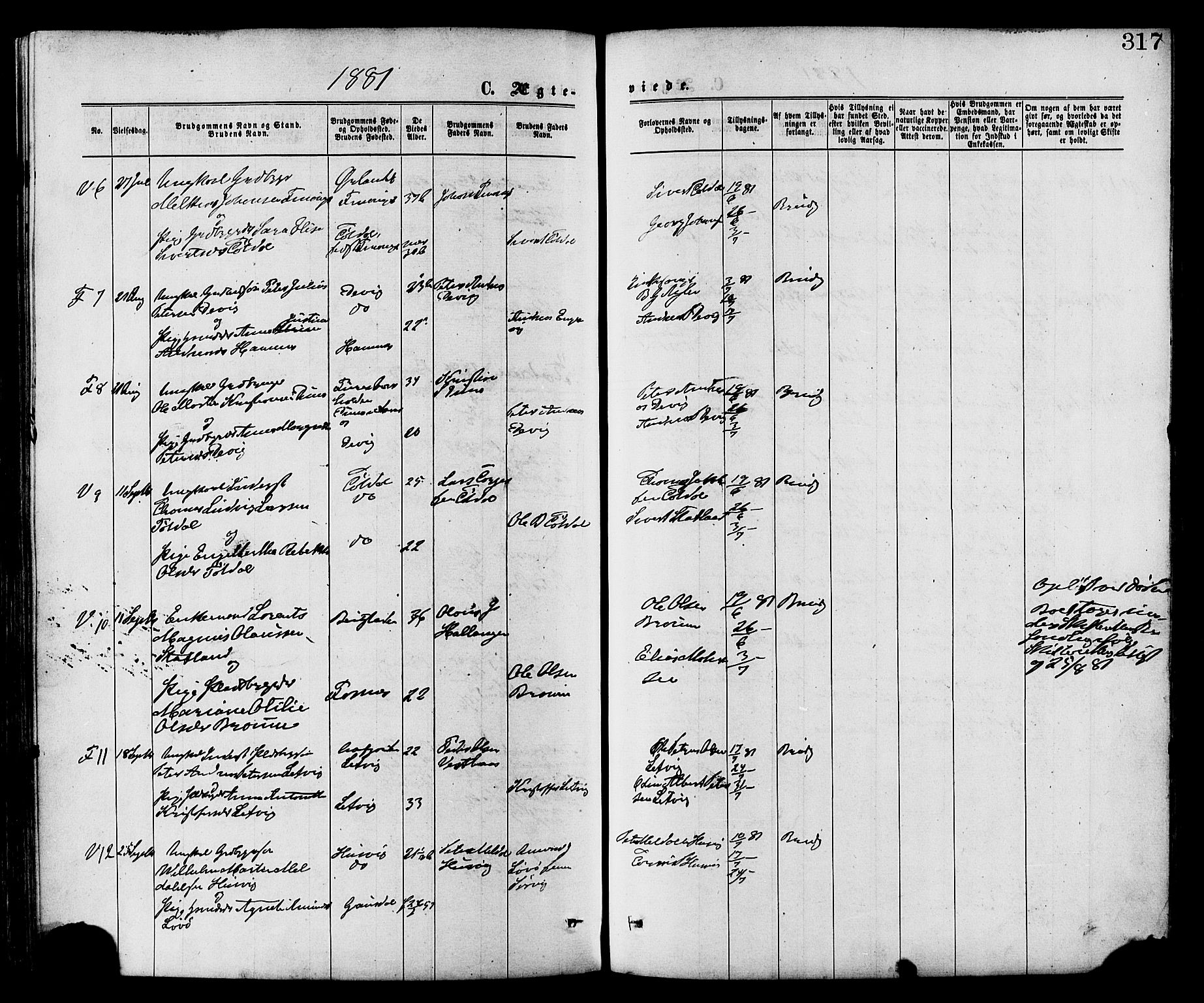 Ministerialprotokoller, klokkerbøker og fødselsregistre - Nord-Trøndelag, AV/SAT-A-1458/773/L0616: Parish register (official) no. 773A07, 1870-1887, p. 317