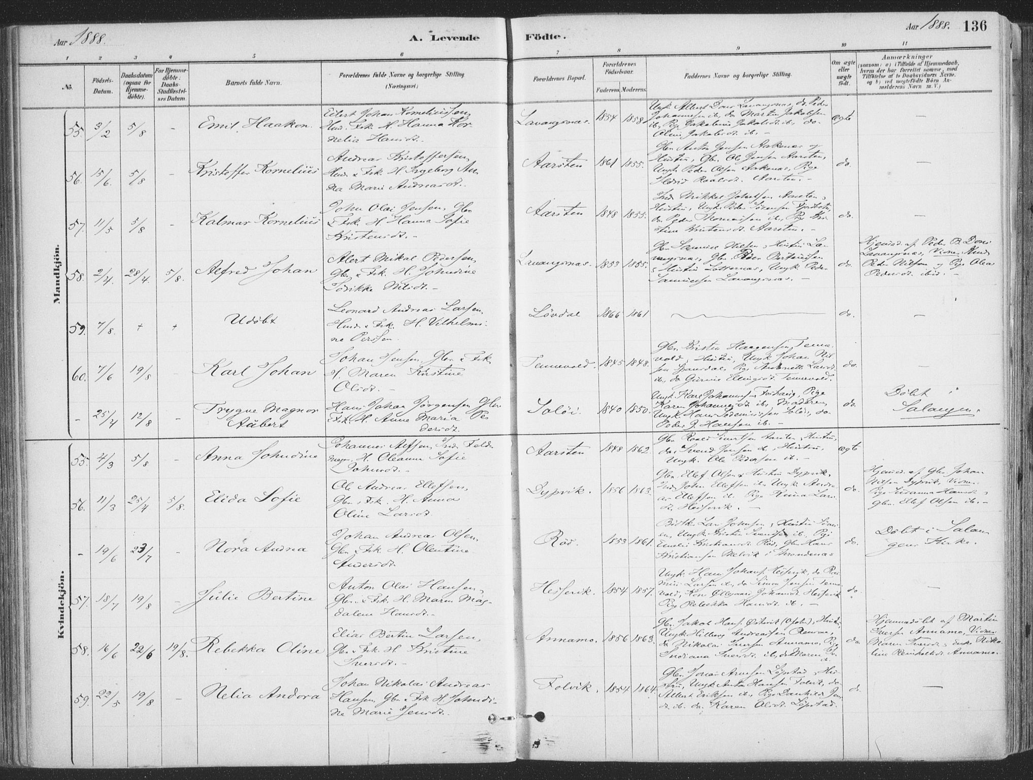 Ibestad sokneprestembete, SATØ/S-0077/H/Ha/Haa/L0011kirke: Parish register (official) no. 11, 1880-1889, p. 136