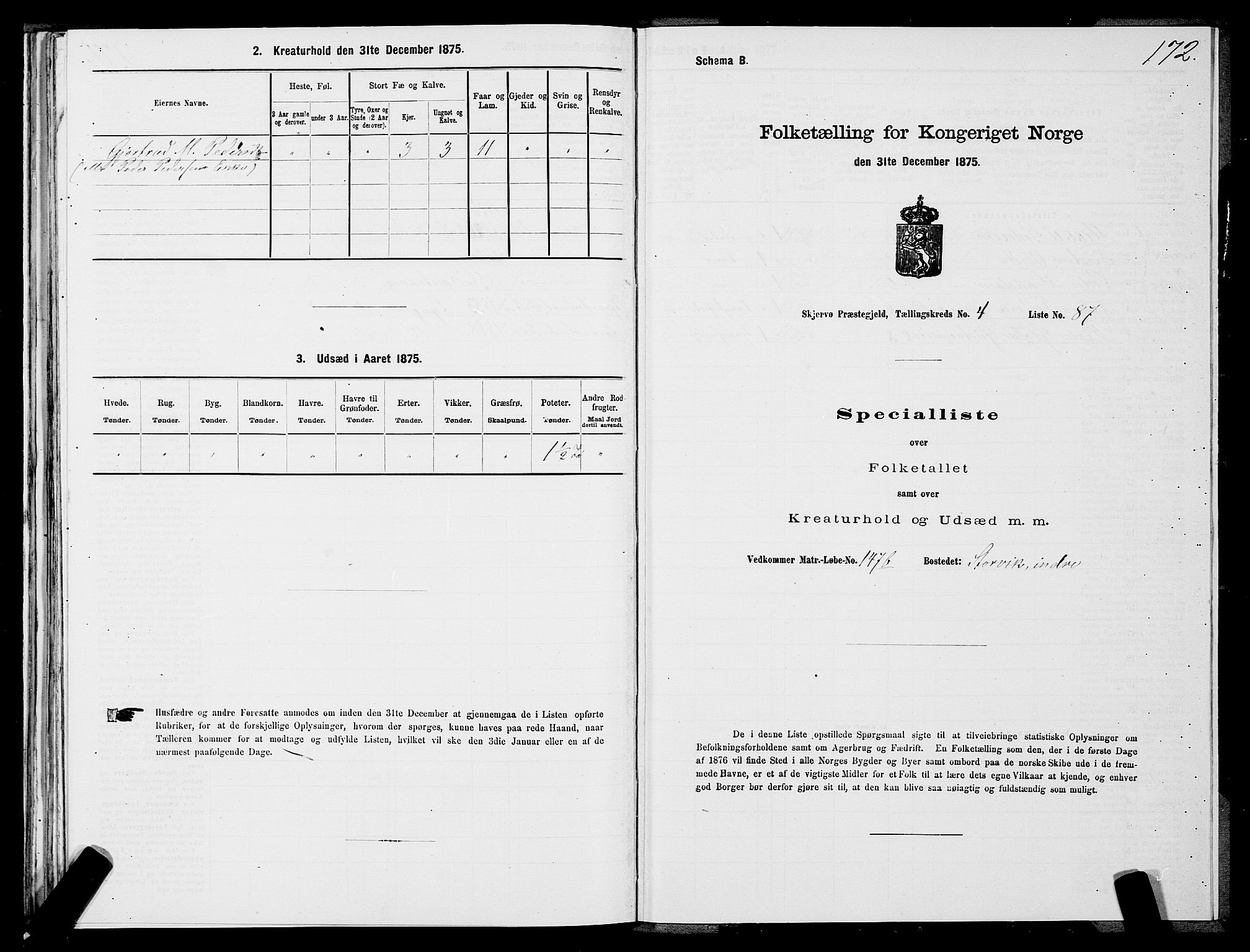 SATØ, 1875 census for 1941P Skjervøy, 1875, p. 3172