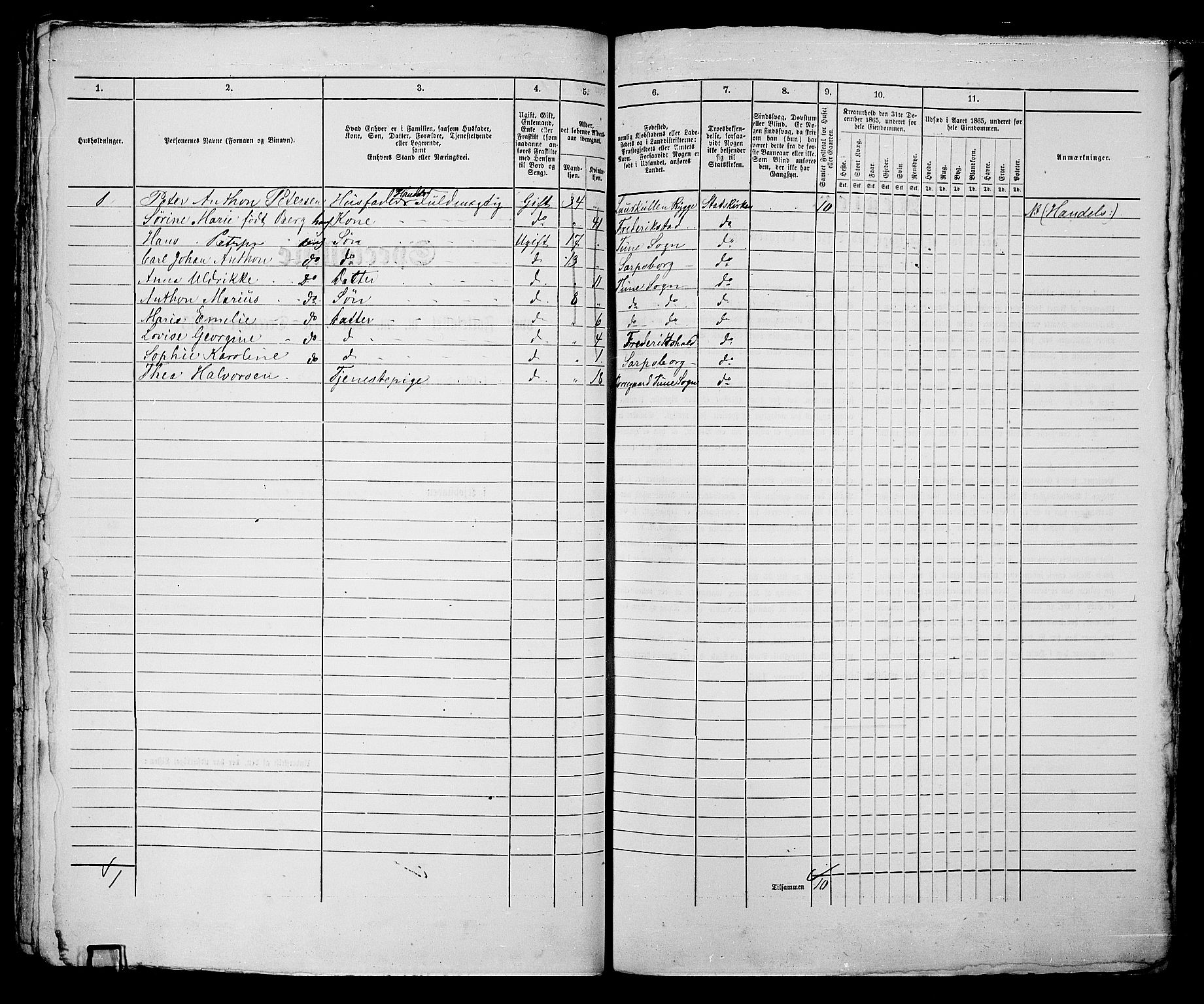 RA, 1865 census for Sarpsborg, 1865, p. 117