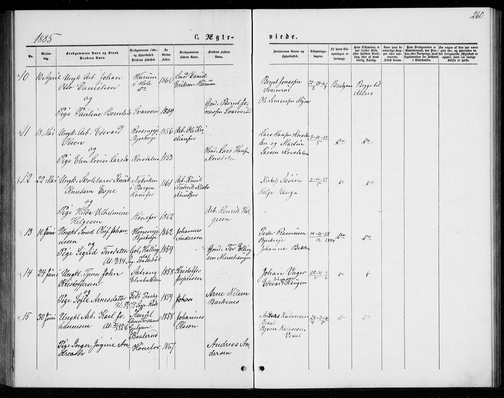 Norderhov kirkebøker, AV/SAKO-A-237/G/Ga/L0007: Parish register (copy) no. I 7, 1877-1887, p. 260