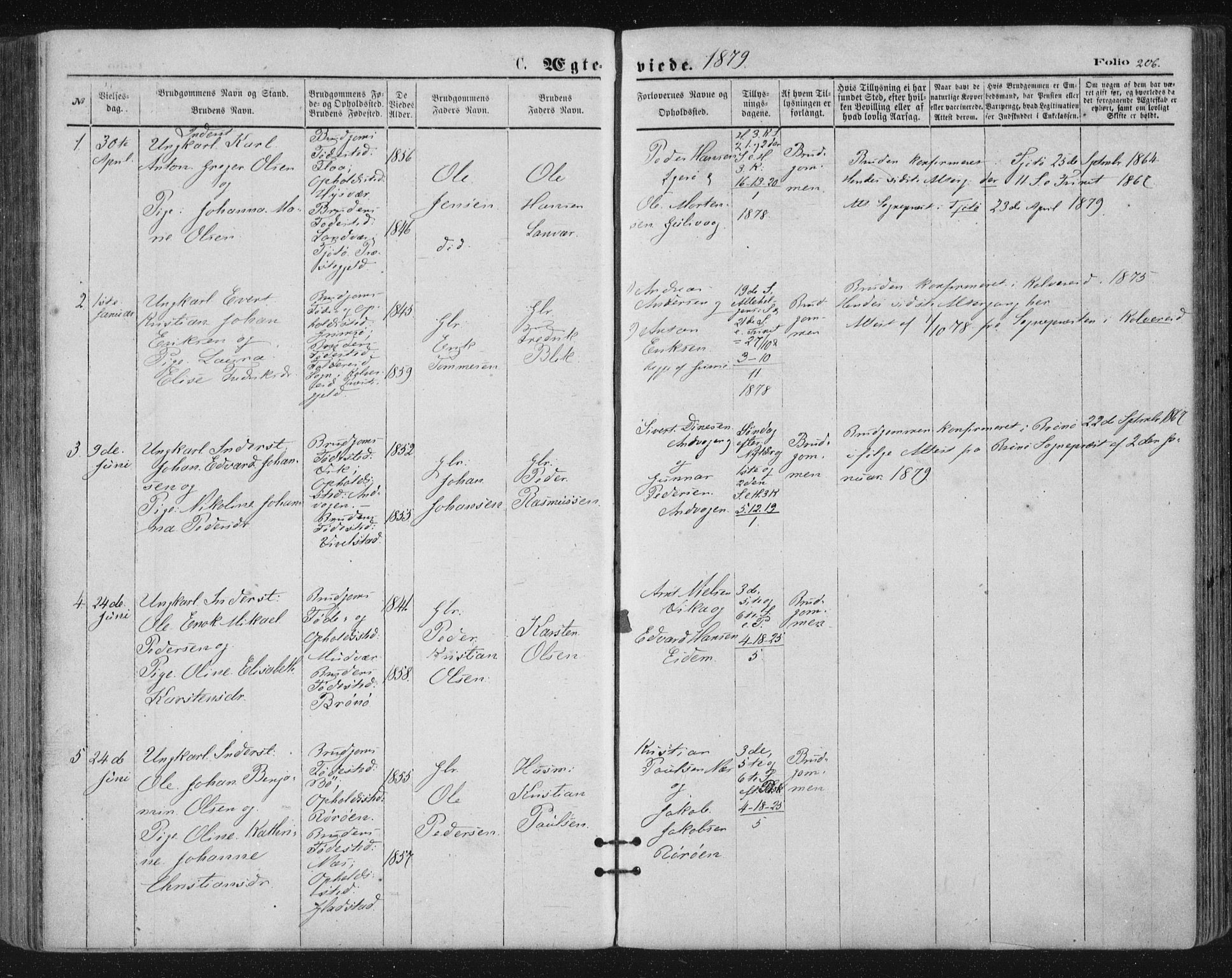 Ministerialprotokoller, klokkerbøker og fødselsregistre - Nordland, SAT/A-1459/816/L0241: Parish register (official) no. 816A07, 1870-1885, p. 206