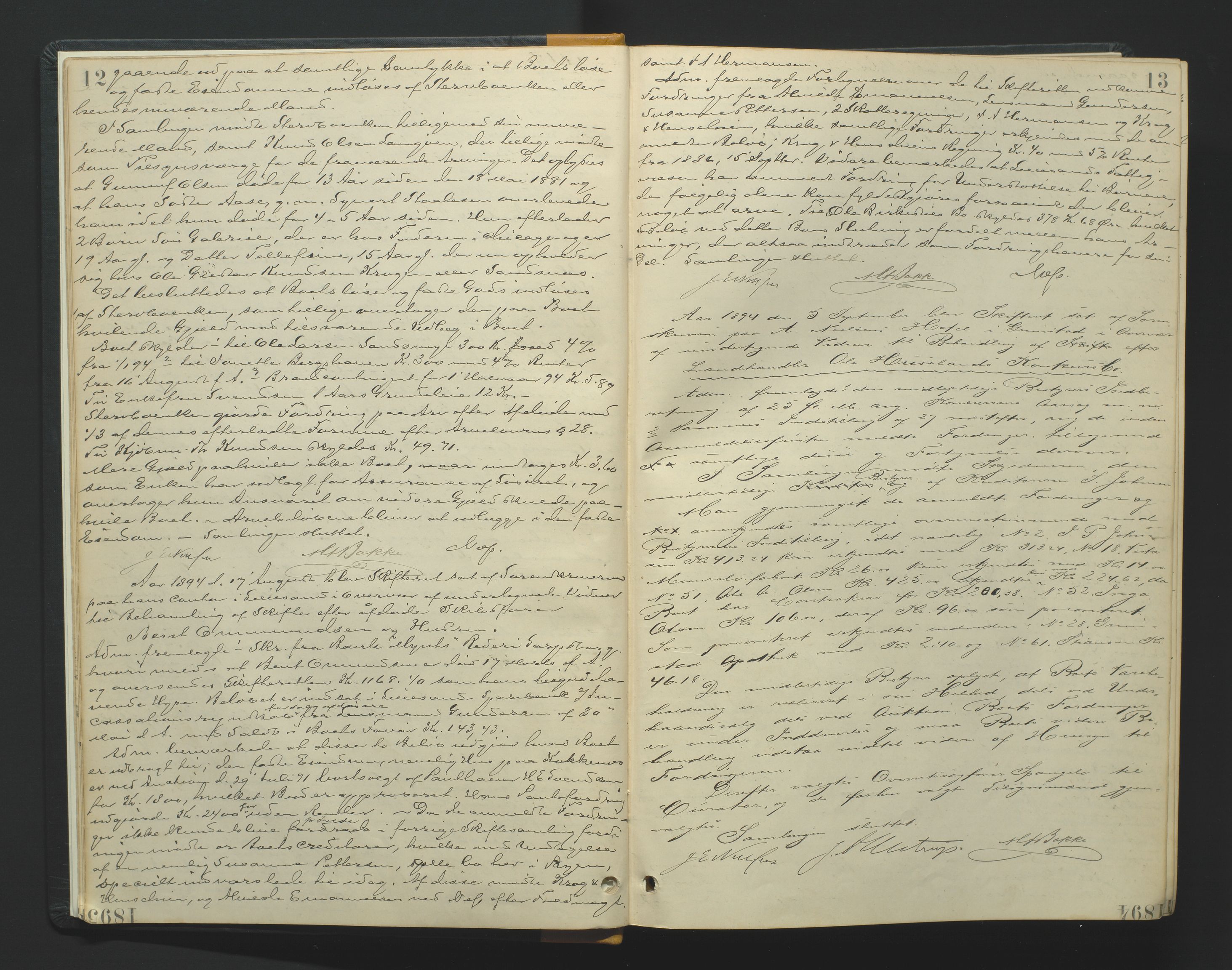 Vestre Nedenes/Sand sorenskriveri, AV/SAK-1221-0010/H/Hc/L0007: Skifteforhandlingsprotokoll nr. 5, 1894-1916, p. 12-13