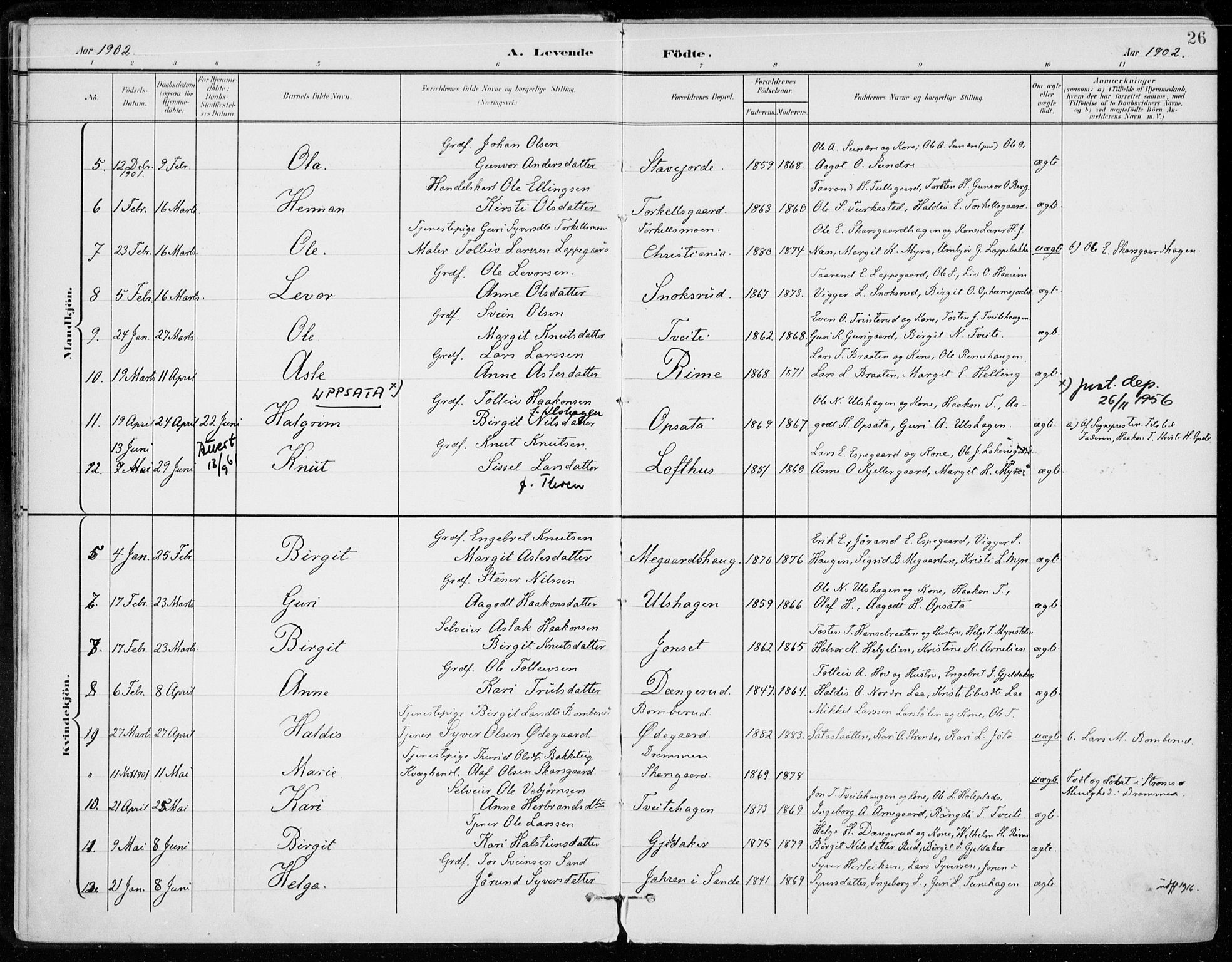 Ål kirkebøker, AV/SAKO-A-249/F/Fa/L0009: Parish register (official) no. I 9, 1897-1915, p. 26