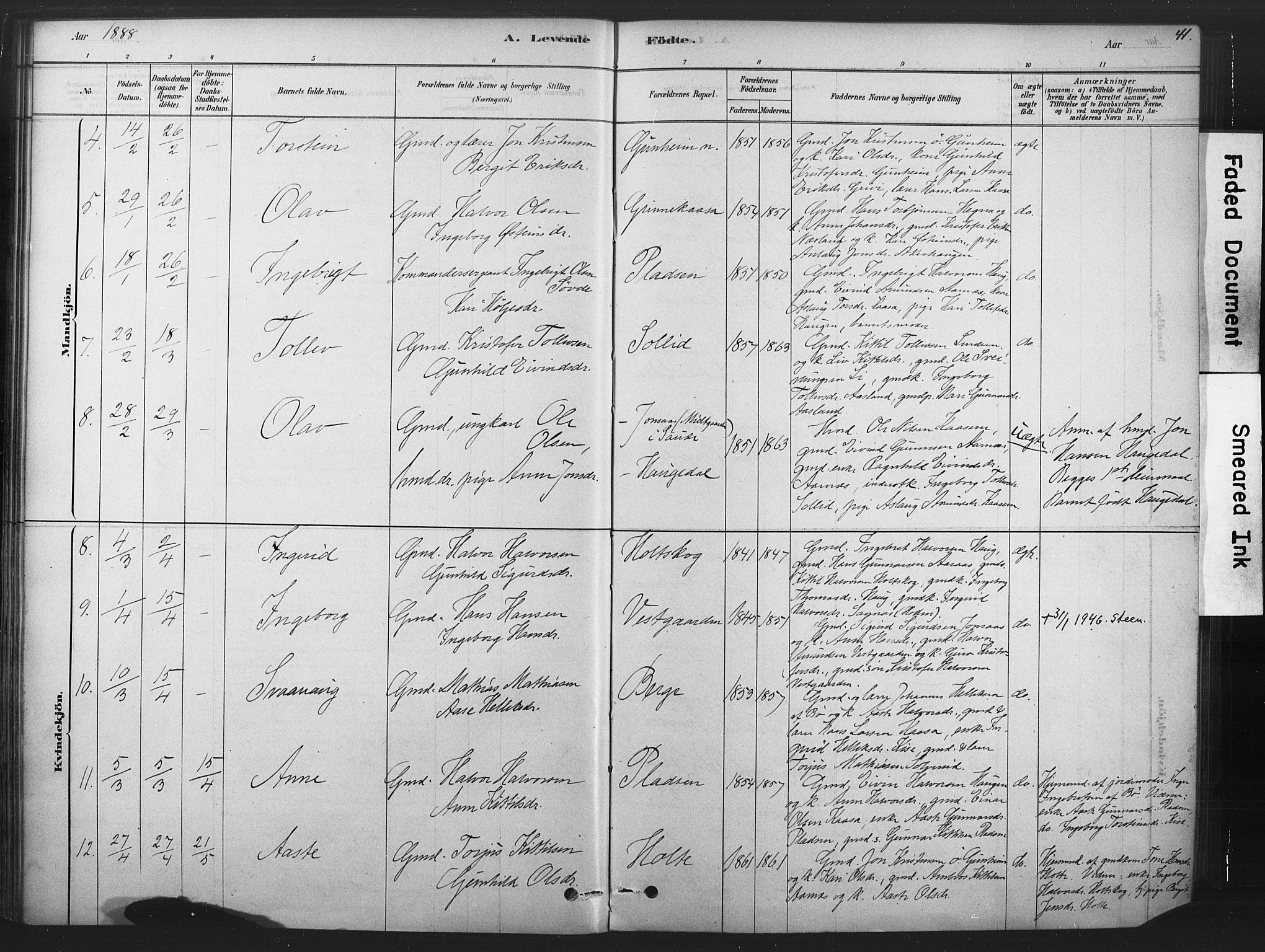 Sauherad kirkebøker, AV/SAKO-A-298/F/Fb/L0002: Parish register (official) no. II 2, 1878-1901, p. 41