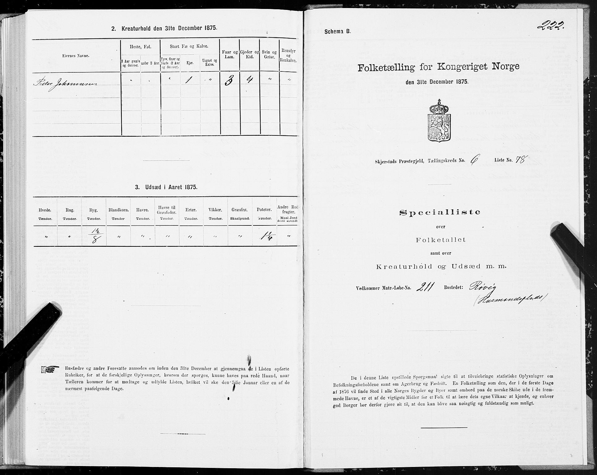 SAT, 1875 census for 1842P Skjerstad, 1875, p. 3222