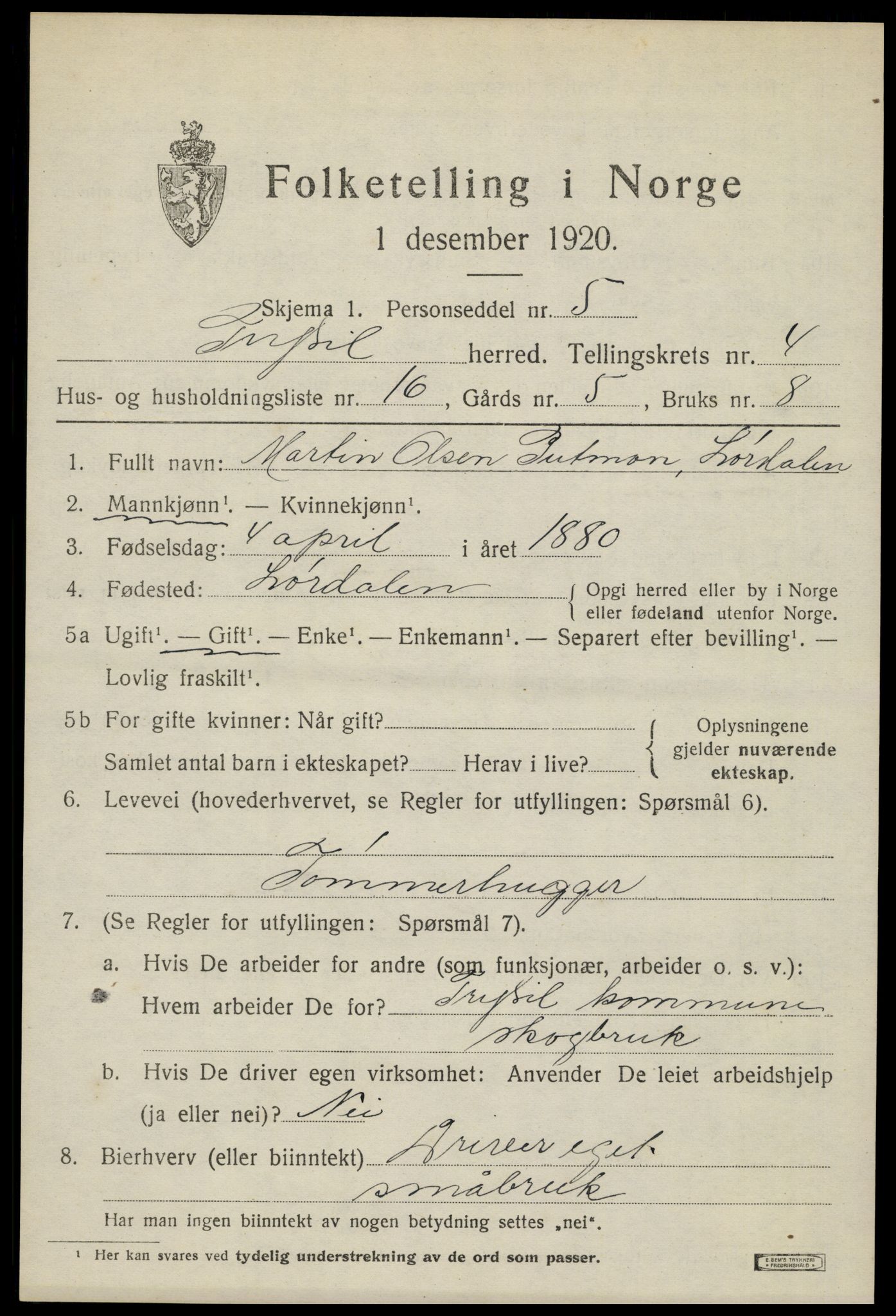 SAH, 1920 census for Trysil, 1920, p. 4299