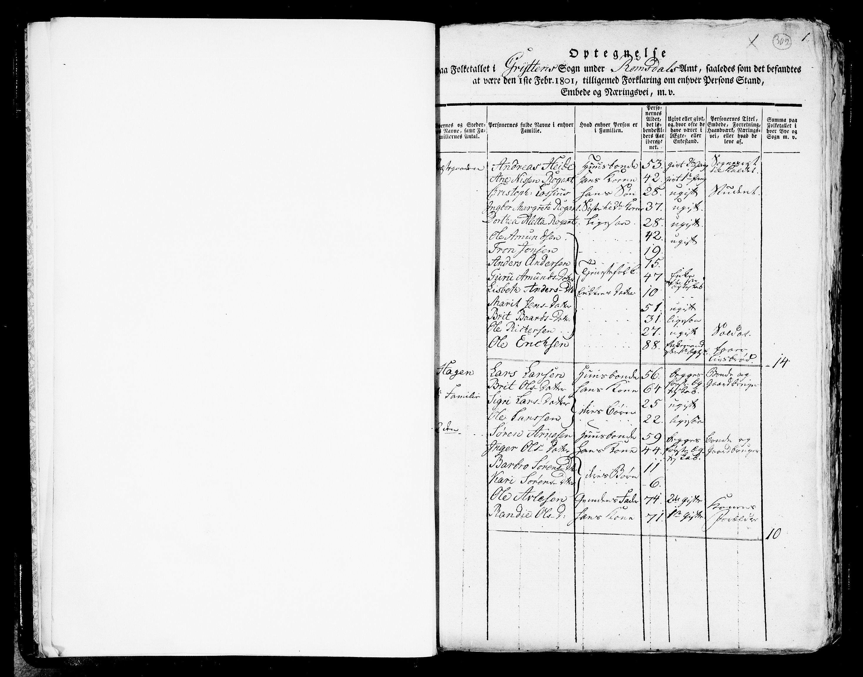 RA, 1801 census for 1539P Grytten, 1801, p. 302a