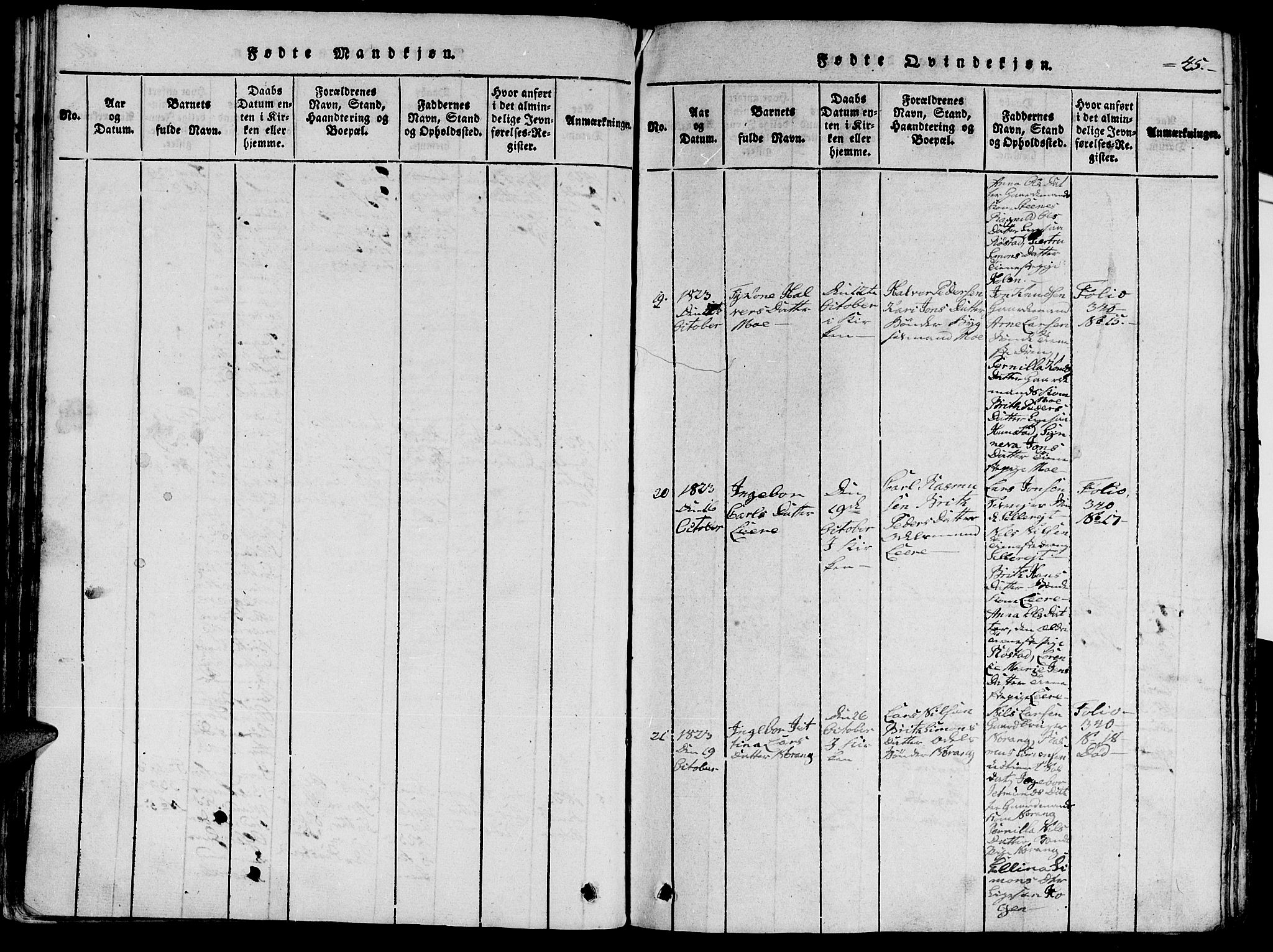 Ministerialprotokoller, klokkerbøker og fødselsregistre - Møre og Romsdal, AV/SAT-A-1454/515/L0207: Parish register (official) no. 515A03, 1819-1829, p. 45