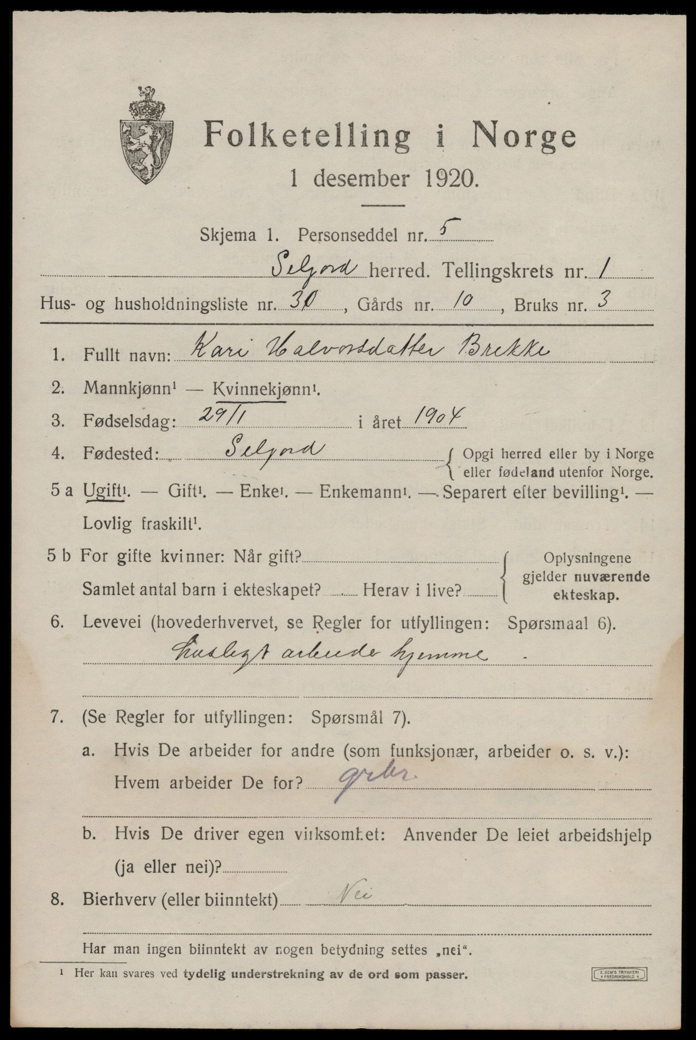 SAKO, 1920 census for Seljord, 1920, p. 1500
