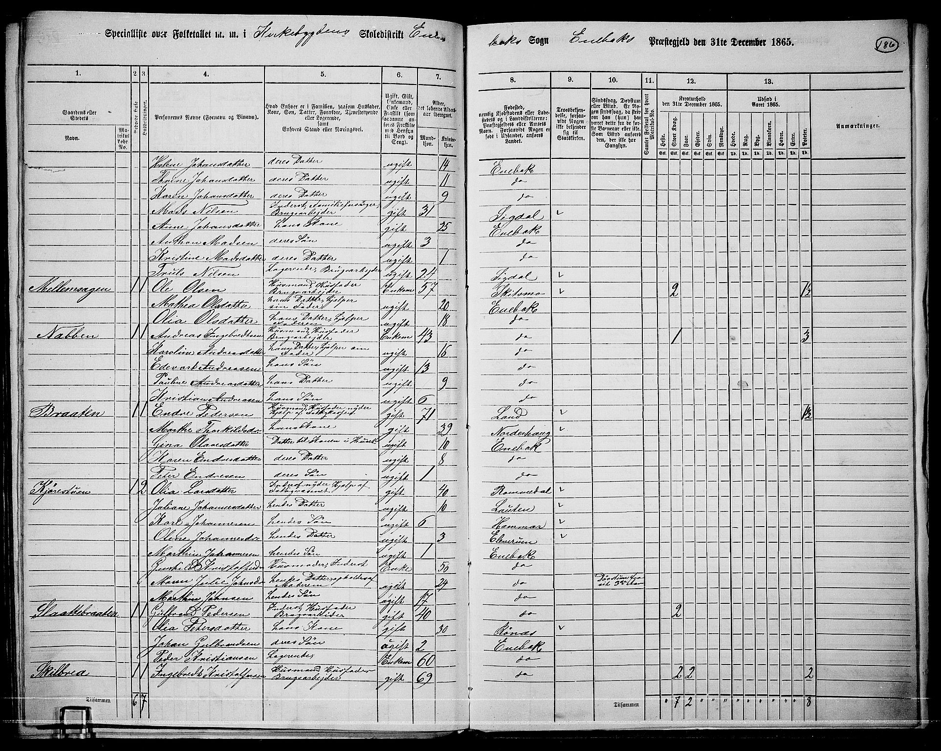 RA, 1865 census for Enebakk, 1865, p. 163