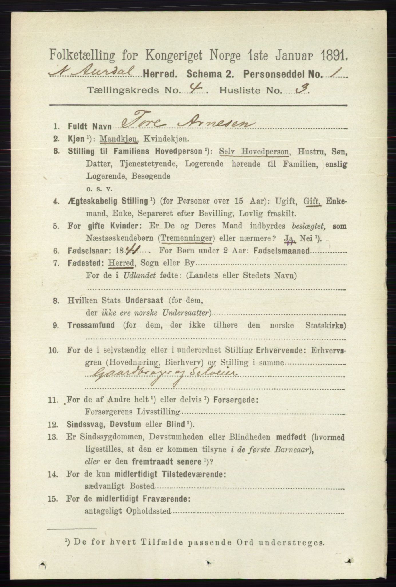 RA, 1891 census for 0542 Nord-Aurdal, 1891, p. 1172