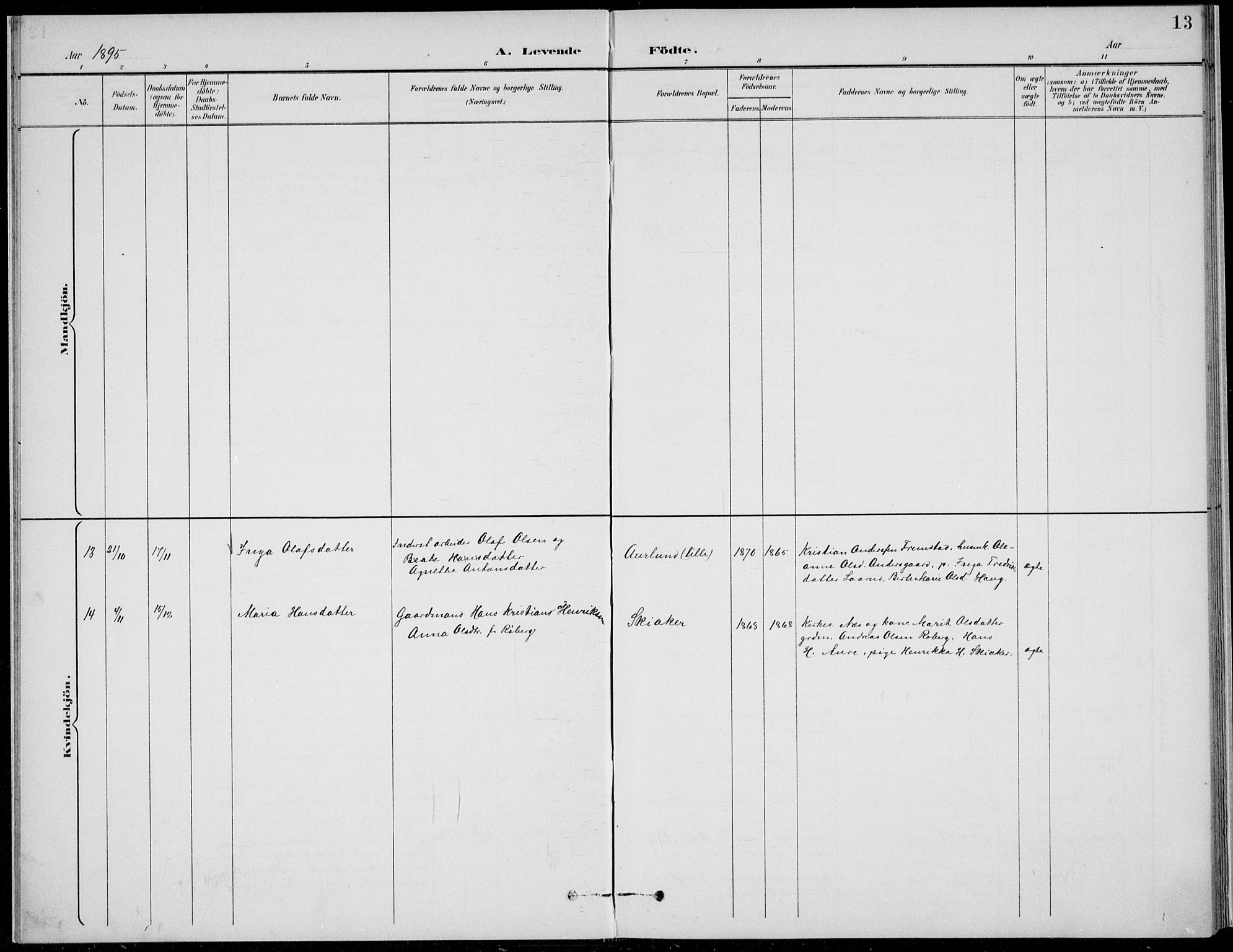 Nordre Land prestekontor, SAH/PREST-124/H/Ha/Hab/L0014: Parish register (copy) no. 14, 1891-1907, p. 13