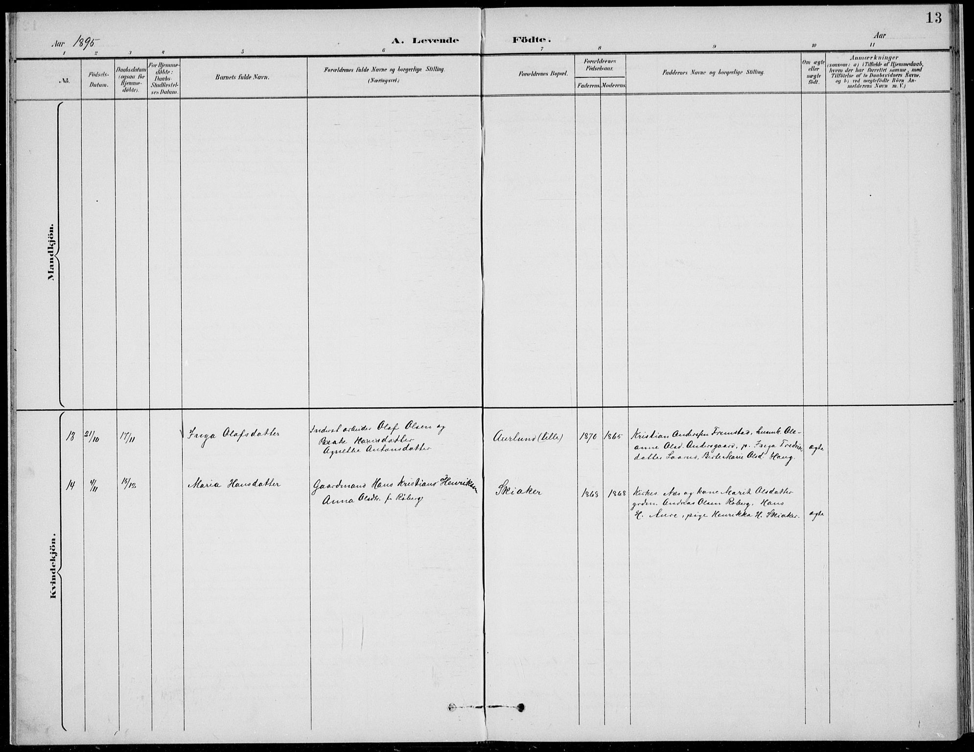 Nordre Land prestekontor, AV/SAH-PREST-124/H/Ha/Hab/L0014: Parish register (copy) no. 14, 1891-1907, p. 13