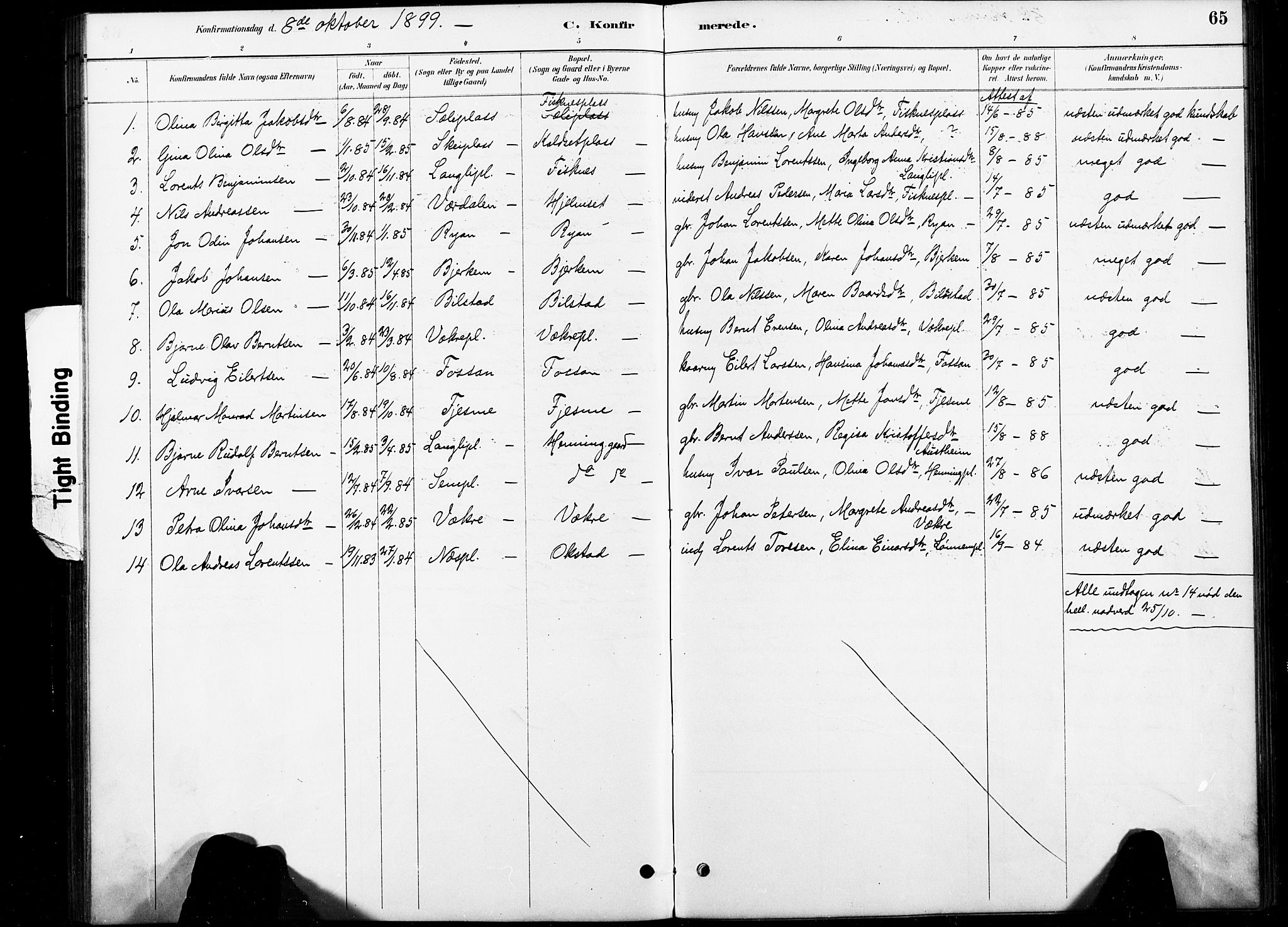 Ministerialprotokoller, klokkerbøker og fødselsregistre - Nord-Trøndelag, SAT/A-1458/738/L0364: Parish register (official) no. 738A01, 1884-1902, p. 65