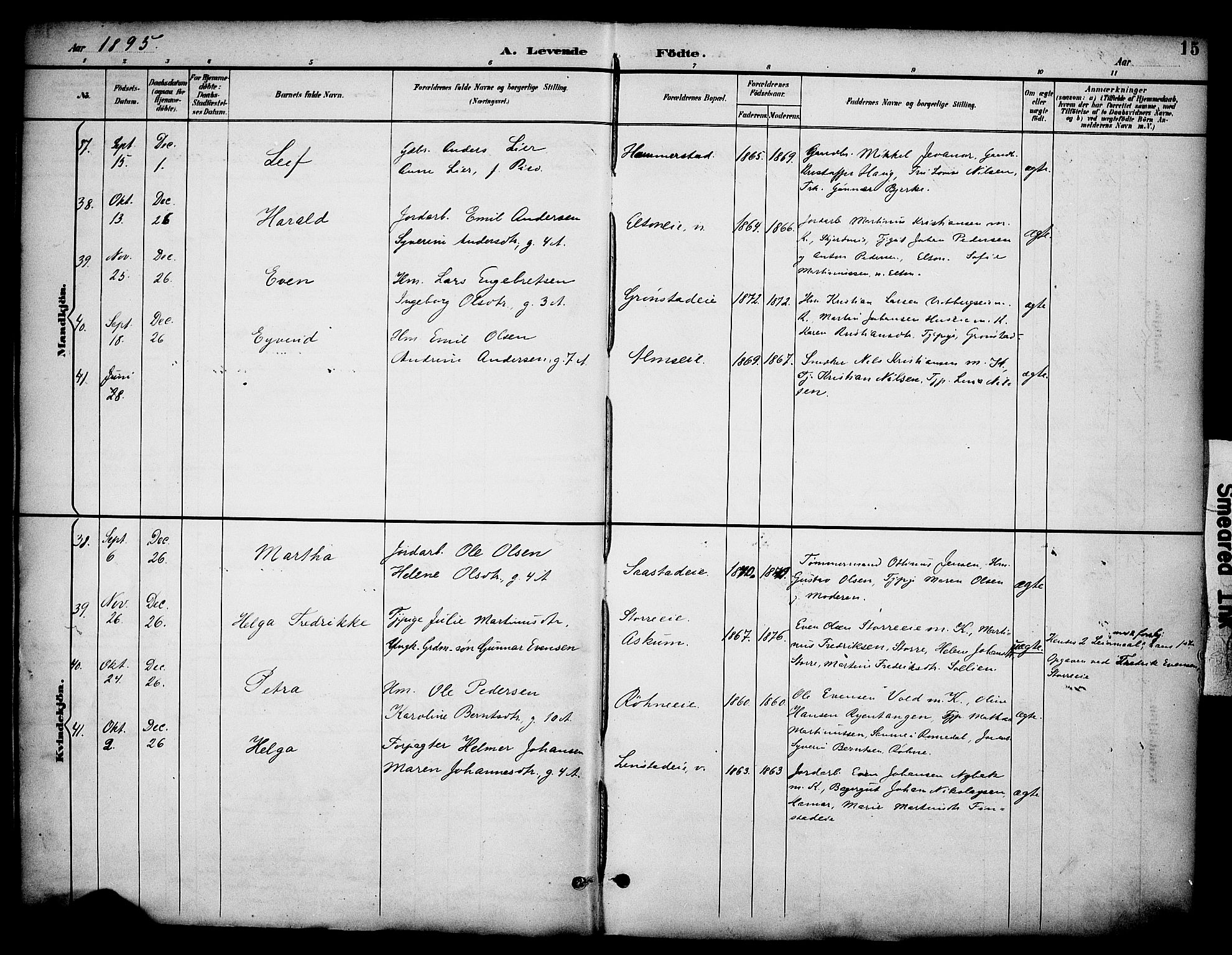 Stange prestekontor, AV/SAH-PREST-002/K/L0020: Parish register (official) no. 20, 1894-1905, p. 15