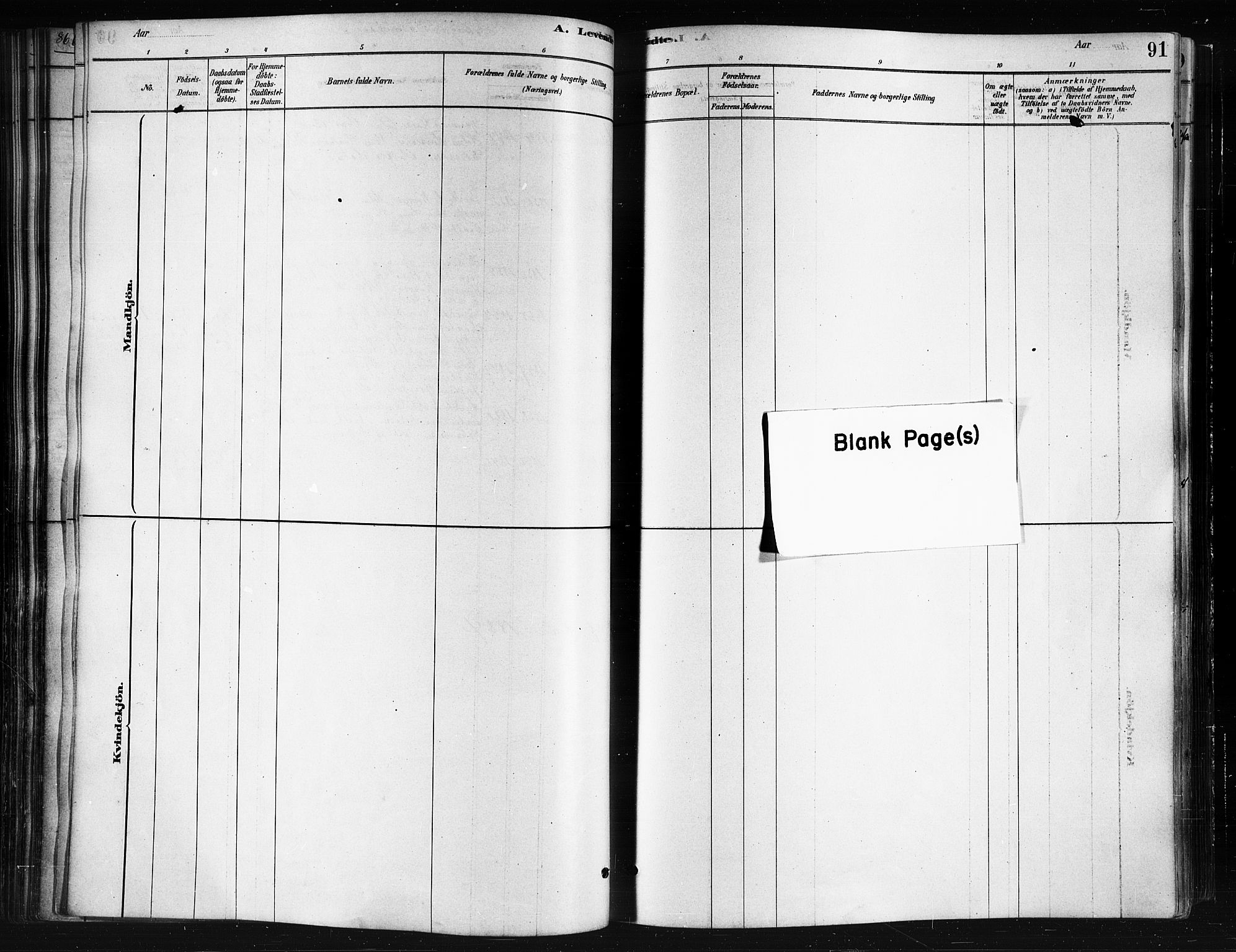 Ministerialprotokoller, klokkerbøker og fødselsregistre - Nordland, SAT/A-1459/893/L1335: Parish register (official) no. 893A08 /2, 1878-1884, p. 91