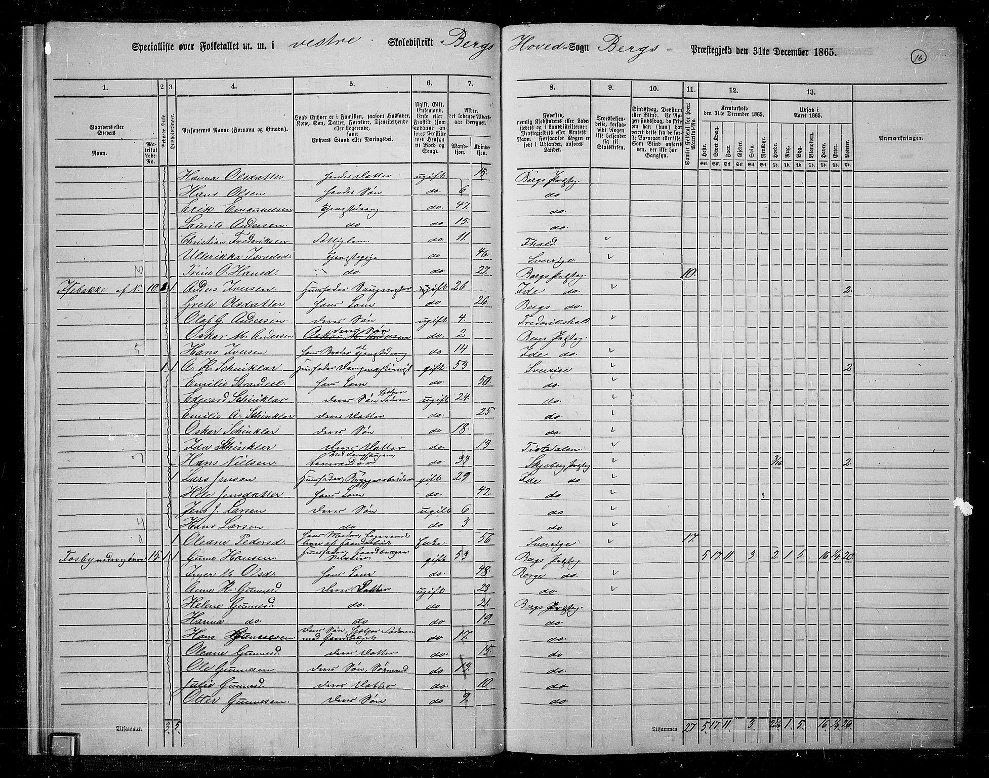 RA, 1865 census for Berg, 1865, p. 16