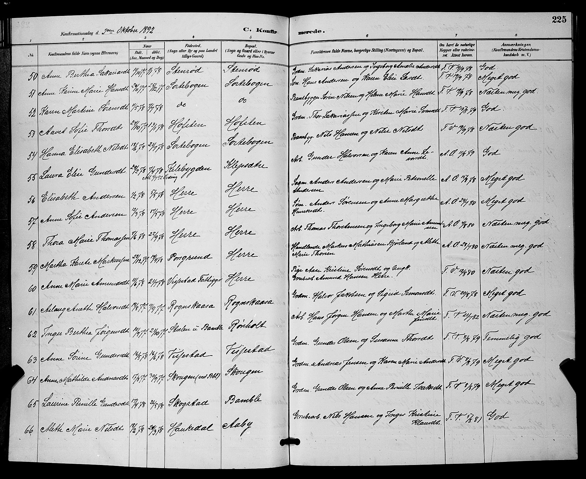 Bamble kirkebøker, AV/SAKO-A-253/G/Ga/L0009: Parish register (copy) no. I 9, 1888-1900, p. 225