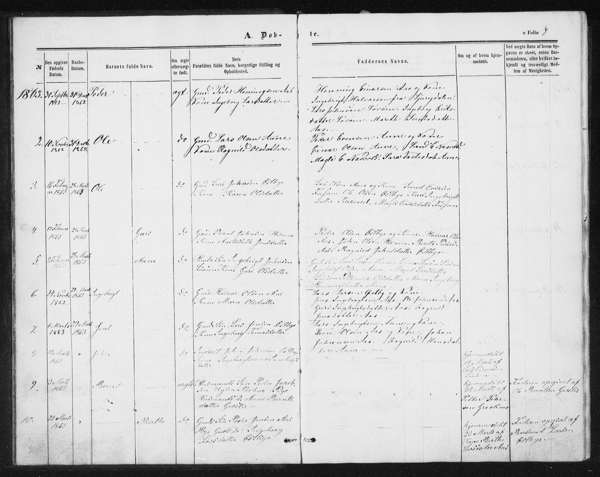 Ministerialprotokoller, klokkerbøker og fødselsregistre - Sør-Trøndelag, SAT/A-1456/698/L1166: Parish register (copy) no. 698C03, 1861-1887, p. 8