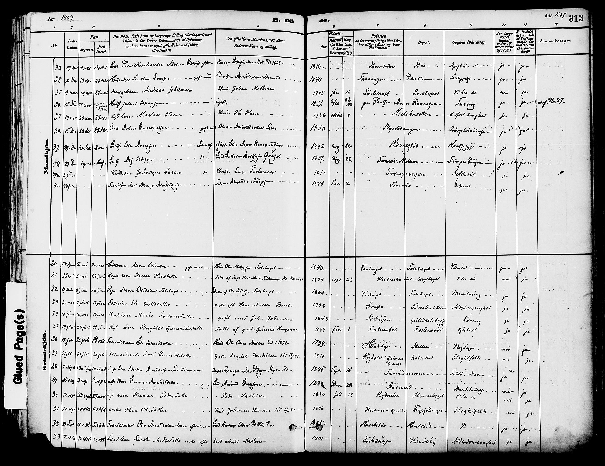 Grue prestekontor, AV/SAH-PREST-036/H/Ha/Haa/L0012: Parish register (official) no. 12, 1881-1897, p. 313