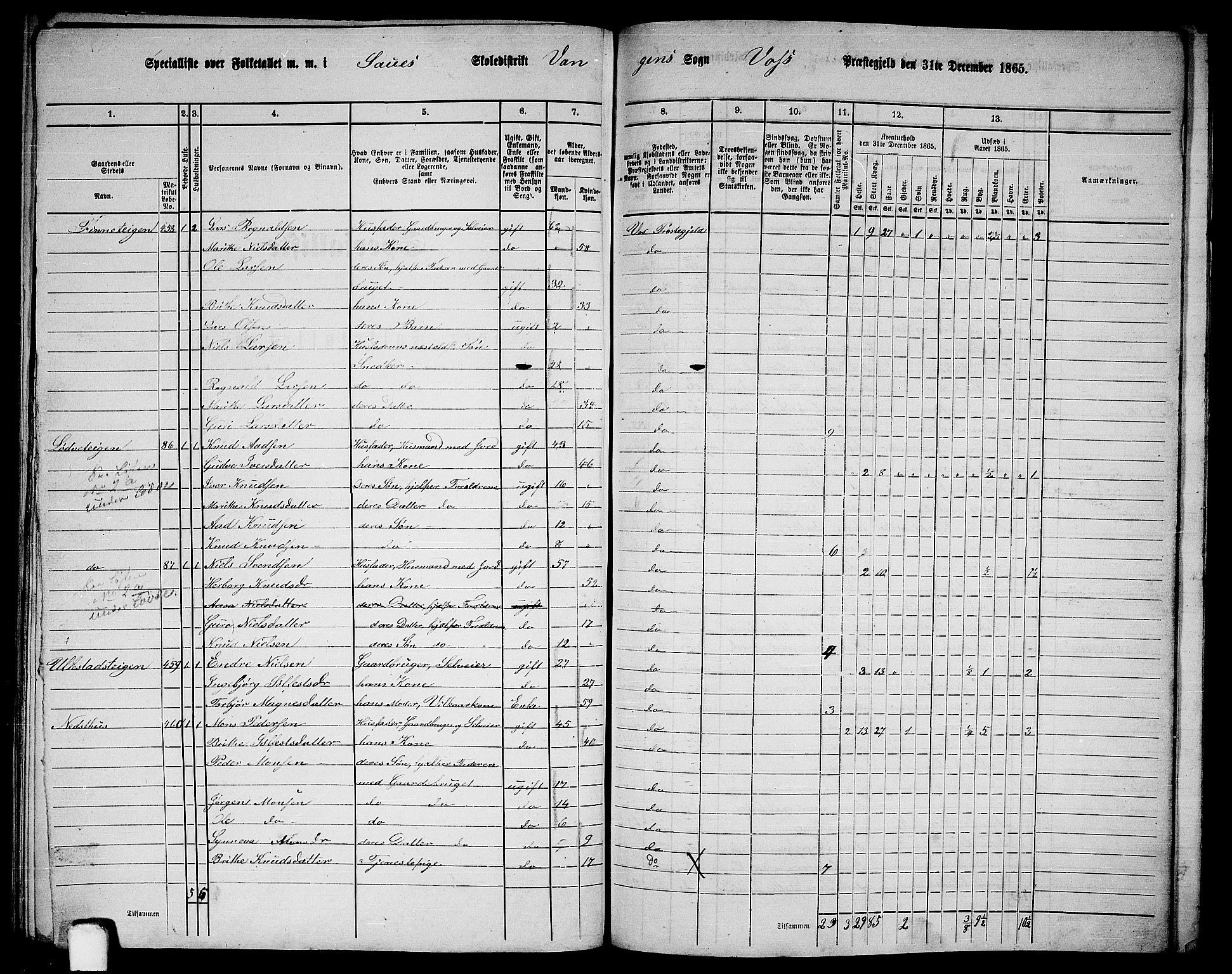 RA, 1865 census for Voss, 1865, p. 204