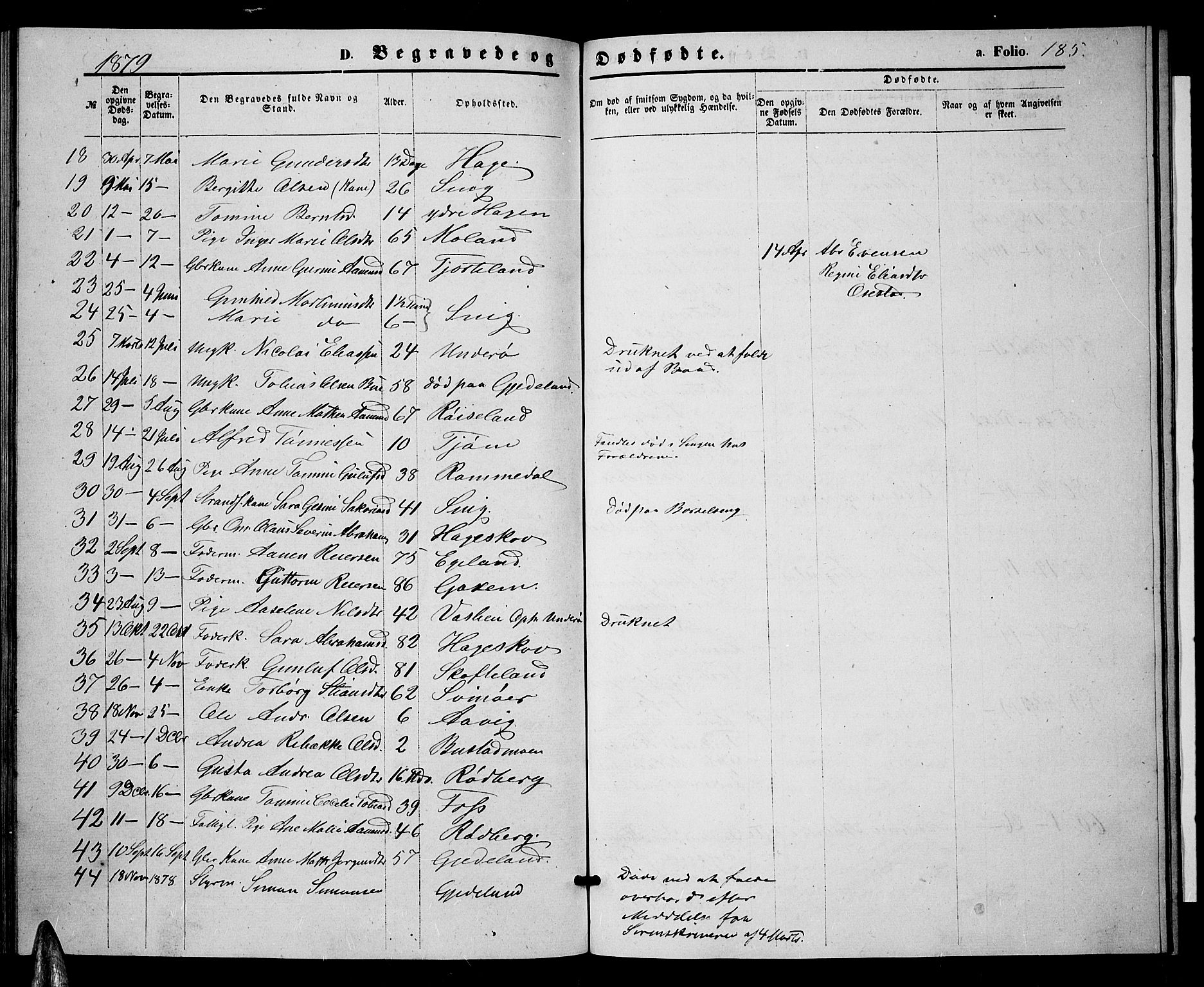 Sør-Audnedal sokneprestkontor, AV/SAK-1111-0039/F/Fb/Fbb/L0004: Parish register (copy) no. B 4, 1868-1879, p. 185