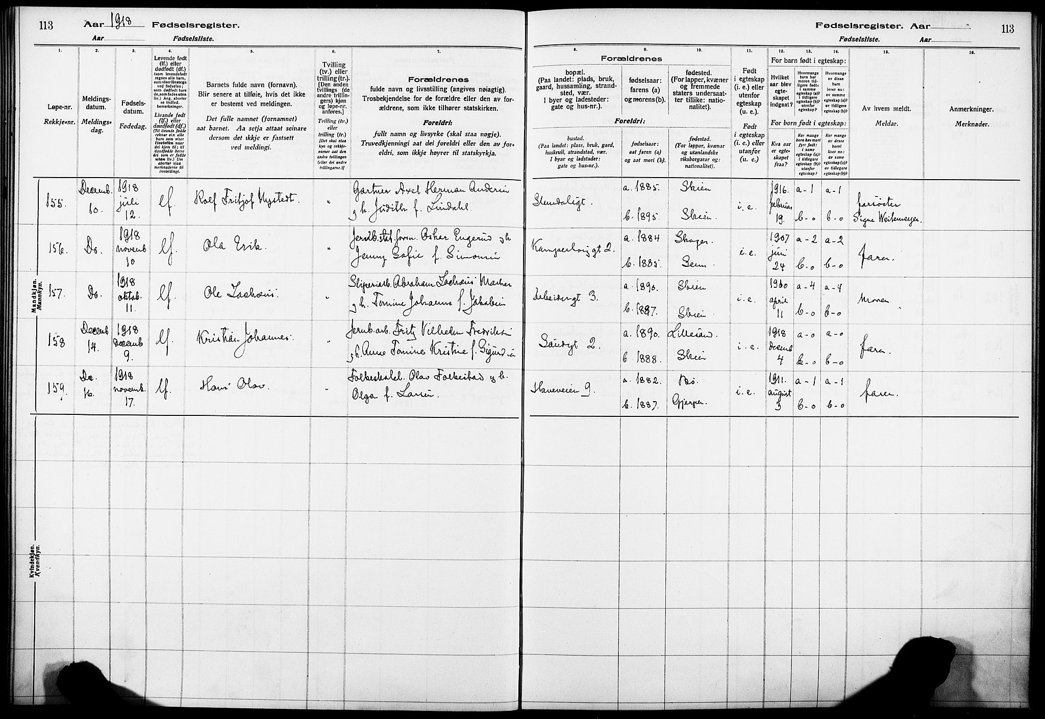 Skien kirkebøker, AV/SAKO-A-302/J/Ja/L0001: Birth register no. 1, 1916-1920, p. 113