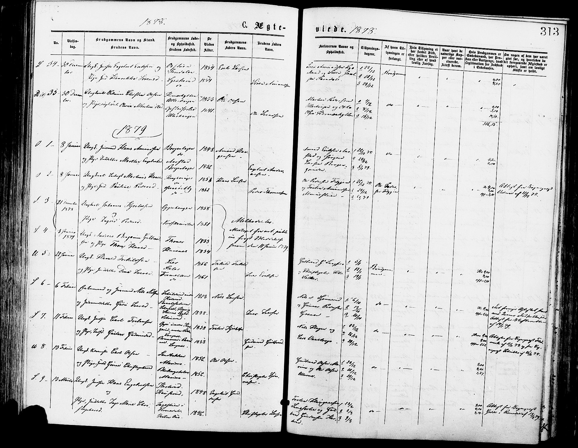 Sør-Odal prestekontor, AV/SAH-PREST-030/H/Ha/Haa/L0005: Parish register (official) no. 5, 1876-1885, p. 313