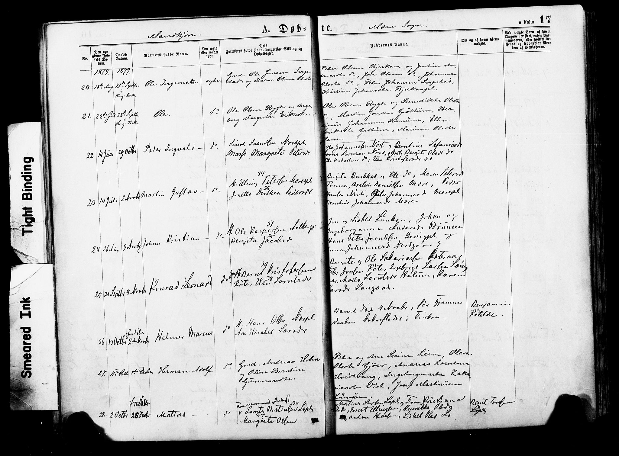 Ministerialprotokoller, klokkerbøker og fødselsregistre - Nord-Trøndelag, AV/SAT-A-1458/735/L0348: Parish register (official) no. 735A09 /1, 1873-1883, p. 17