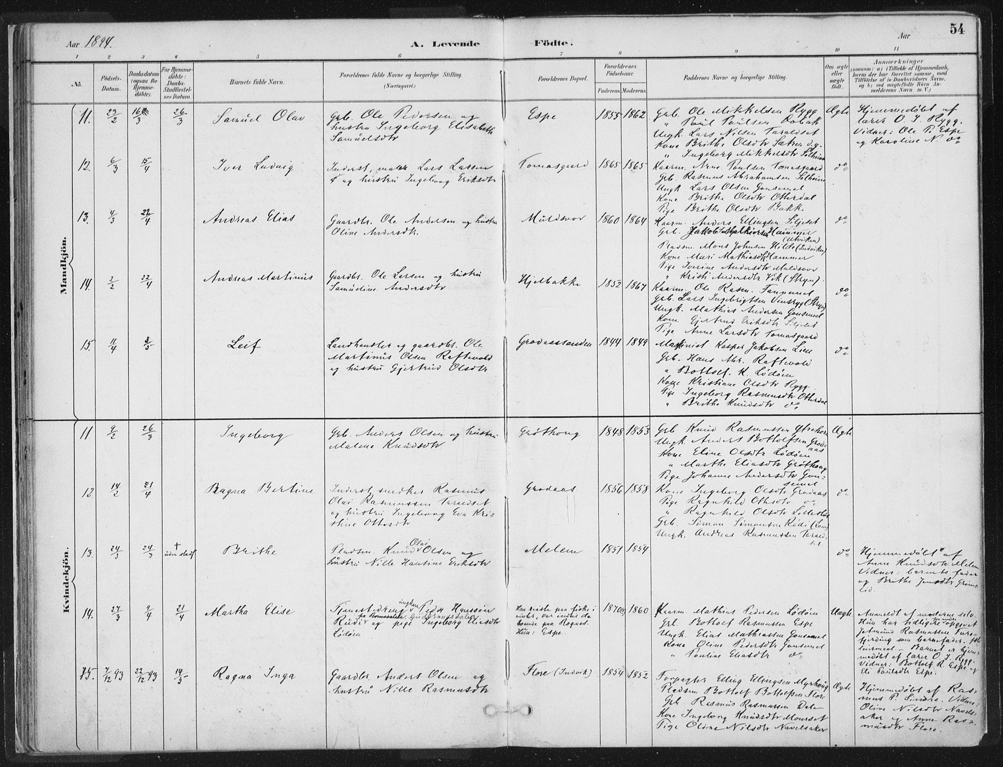 Hornindal sokneprestembete, AV/SAB-A-82401/H/Haa/Haaa/L0003/0001: Parish register (official) no. A 3A, 1887-1917, p. 54