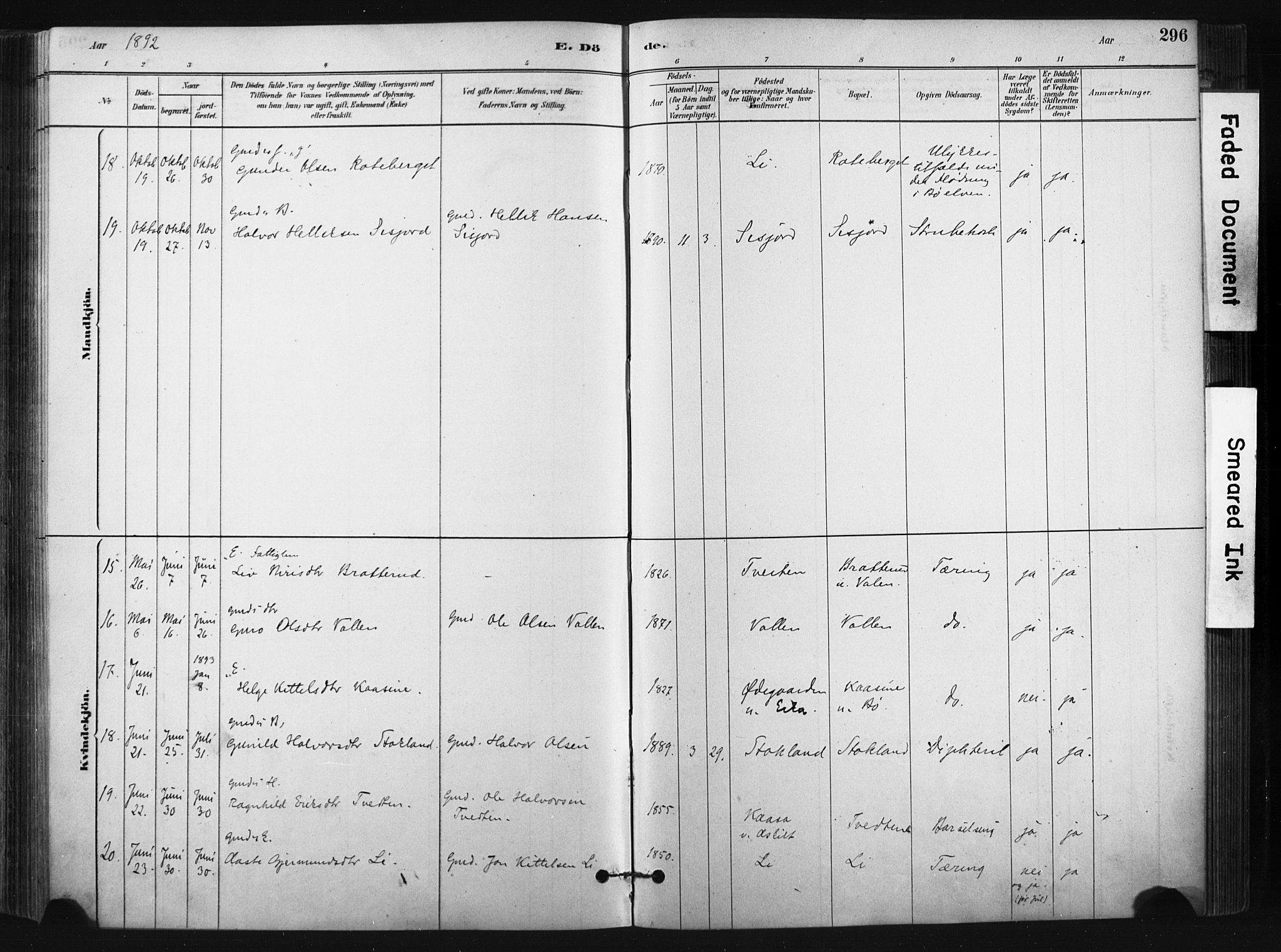 Bø kirkebøker, SAKO/A-257/F/Fa/L0010: Parish register (official) no. 10, 1880-1892, p. 296