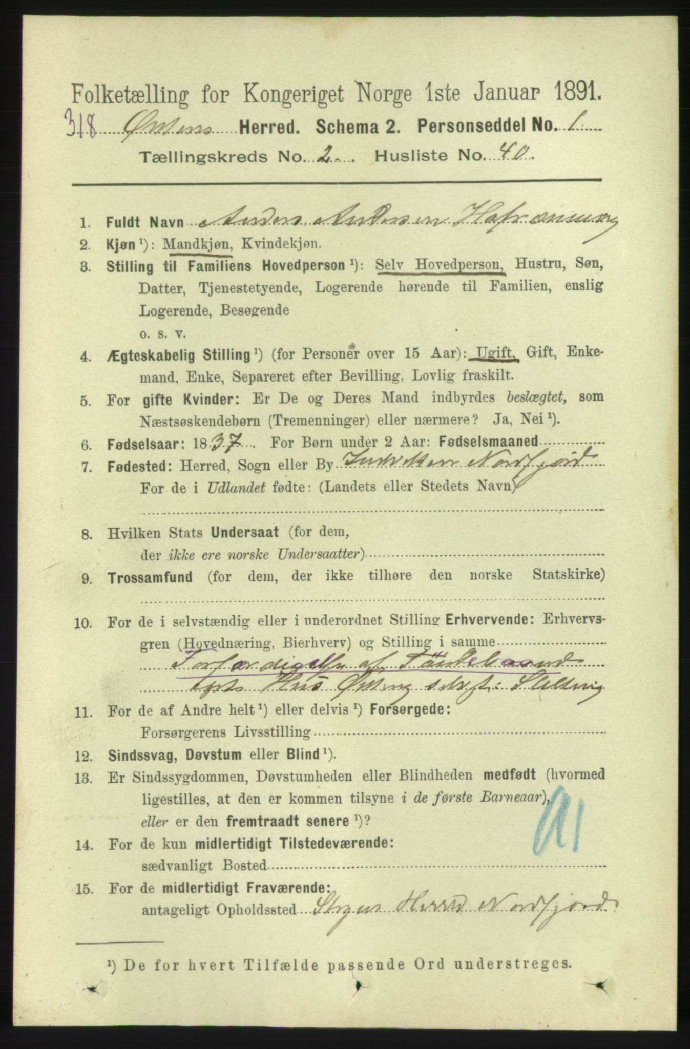 RA, 1891 census for 1520 Ørsta, 1891, p. 704