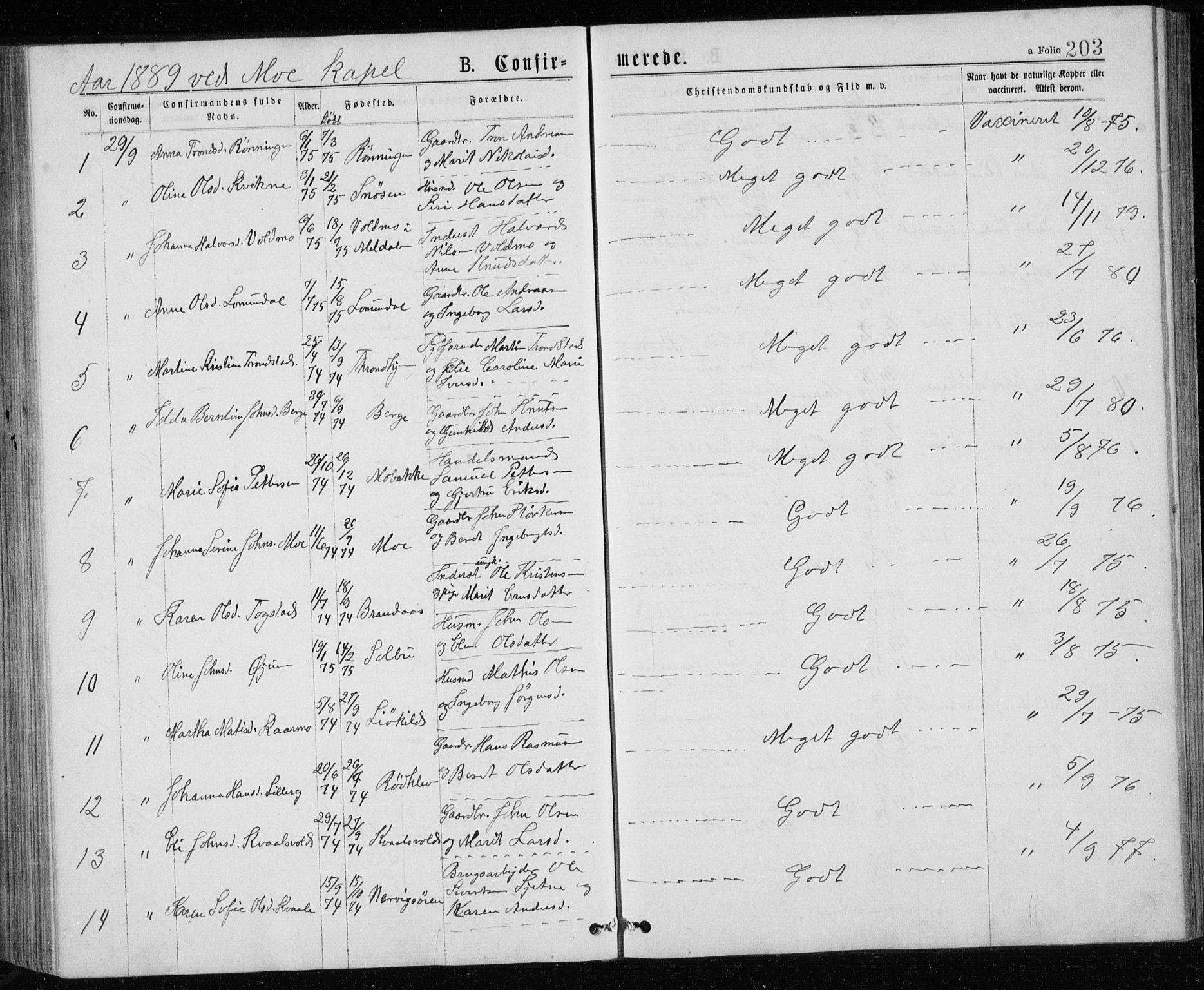 Ministerialprotokoller, klokkerbøker og fødselsregistre - Sør-Trøndelag, AV/SAT-A-1456/671/L0843: Parish register (copy) no. 671C02, 1873-1892, p. 203