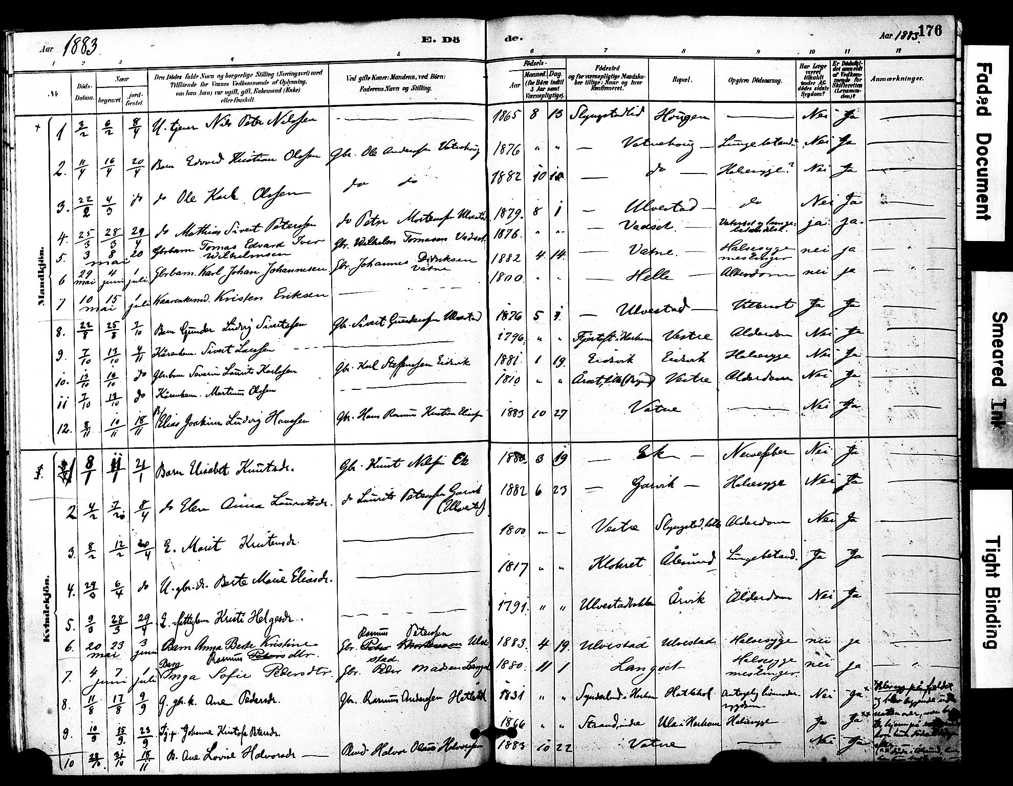 Ministerialprotokoller, klokkerbøker og fødselsregistre - Møre og Romsdal, SAT/A-1454/525/L0374: Parish register (official) no. 525A04, 1880-1899, p. 176