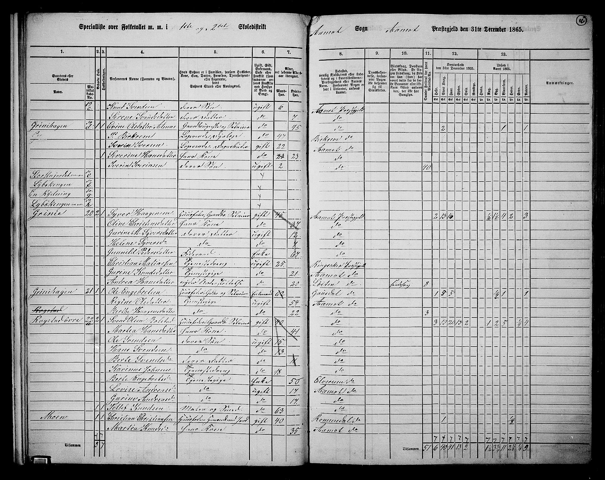 RA, 1865 census for Åmot, 1865, p. 14