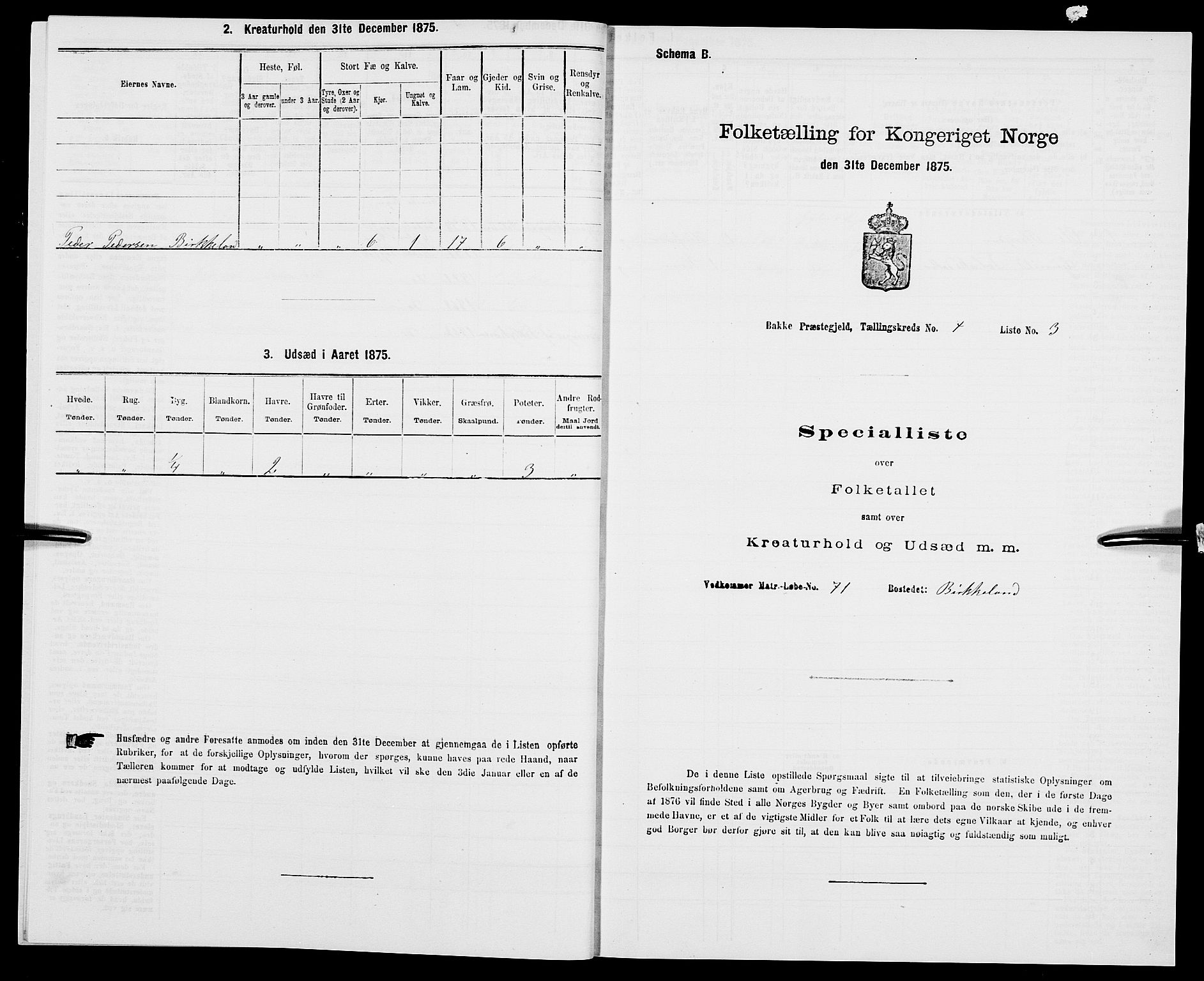 SAK, 1875 census for 1045P Bakke, 1875, p. 673