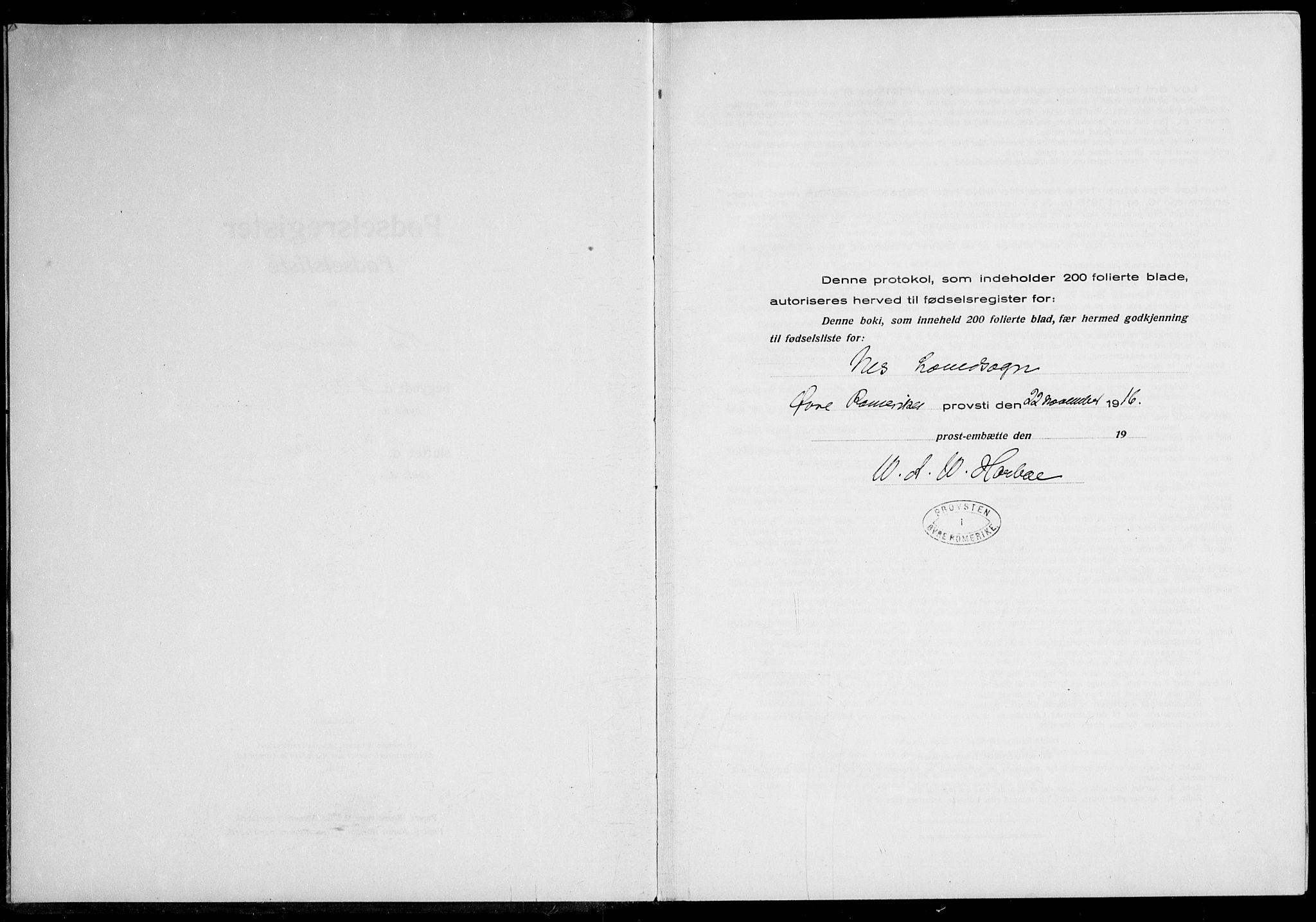 Nes prestekontor Kirkebøker, AV/SAO-A-10410/J/Ja/L0001: Birth register no. 1, 1916-1926